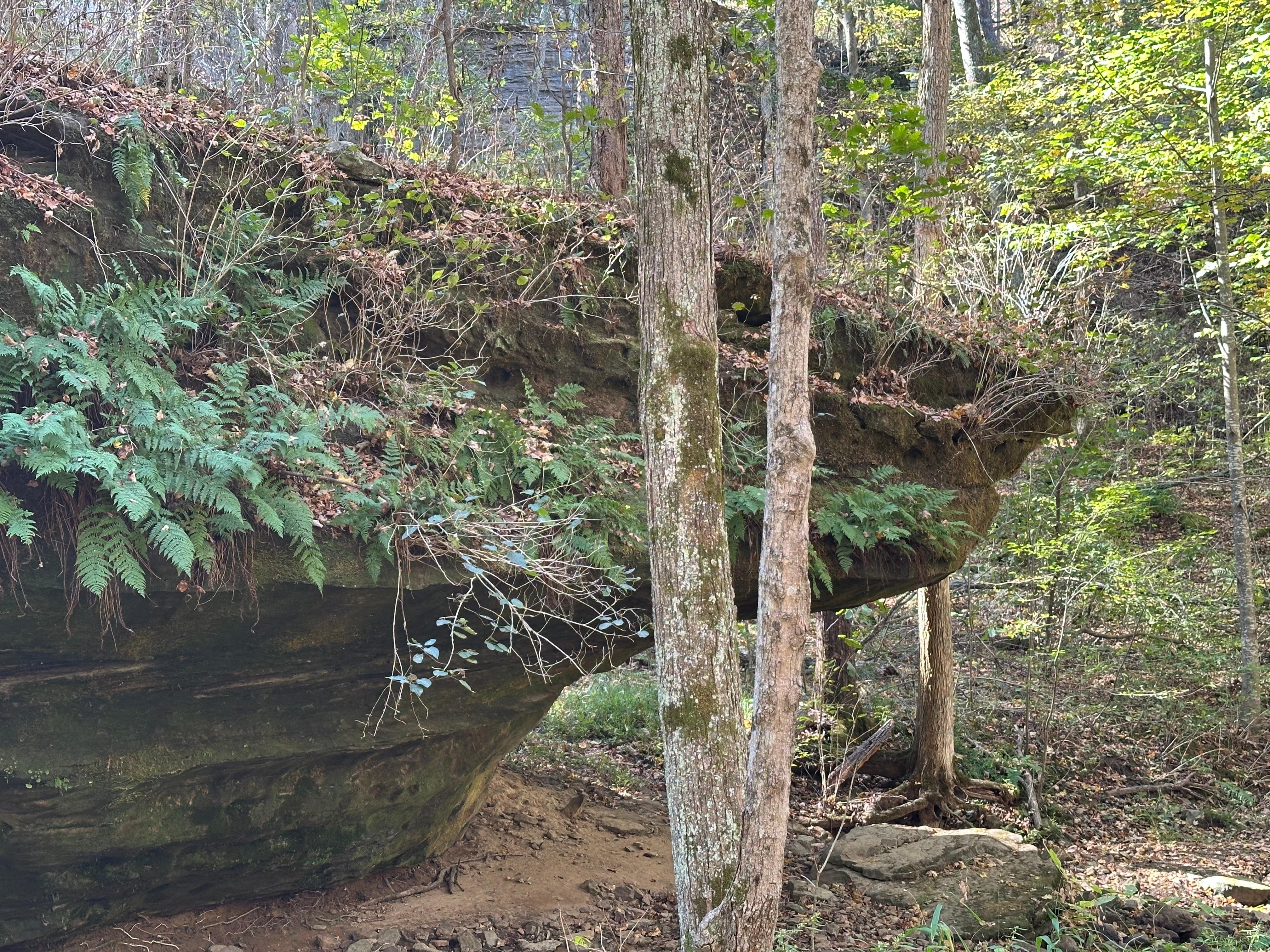 Giant City State Park