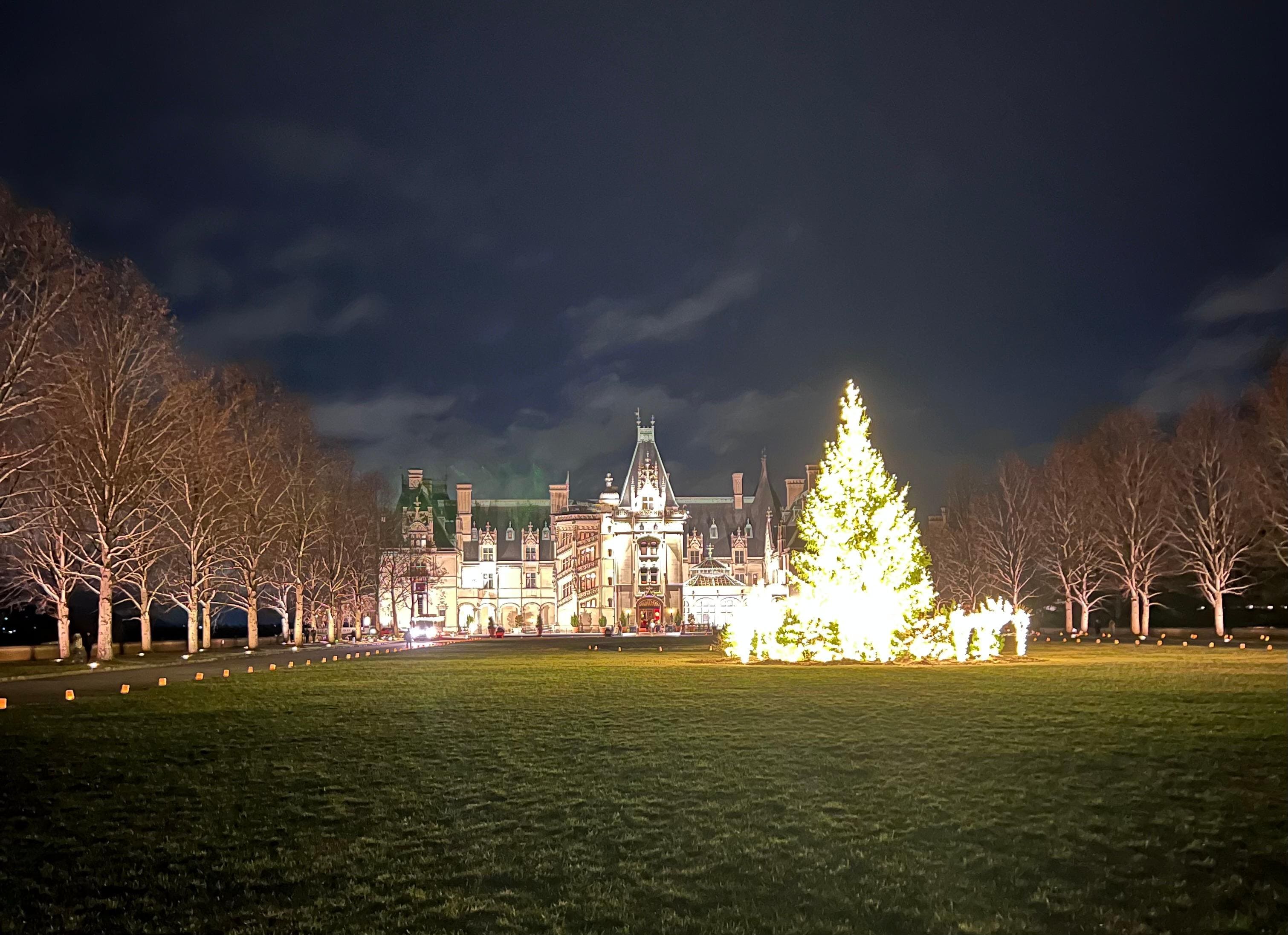 Biltmore Christmas Tree at night