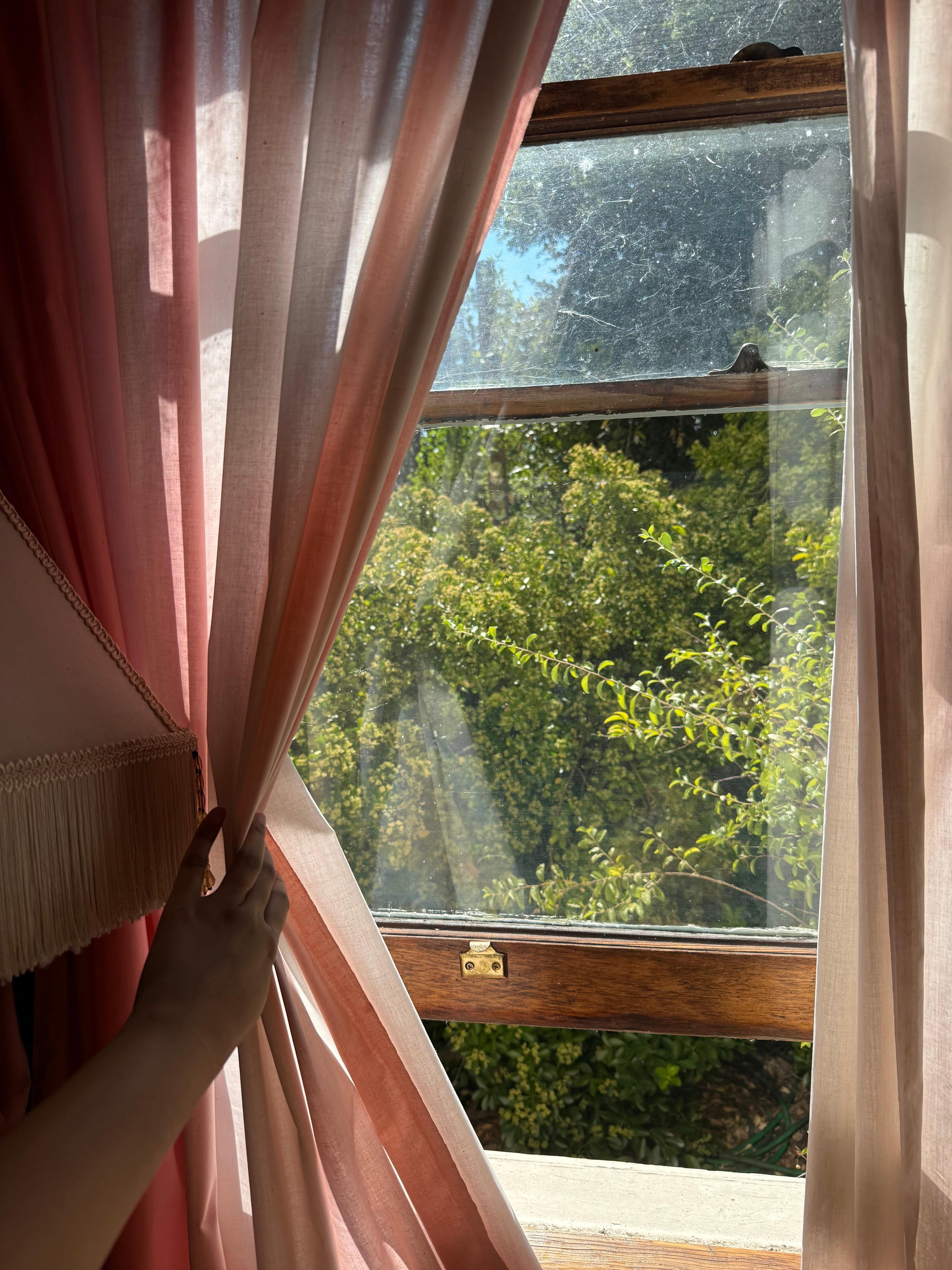 Bedroom window, lots of sunlight and privacy 
