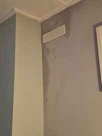 Moisture in the walls.