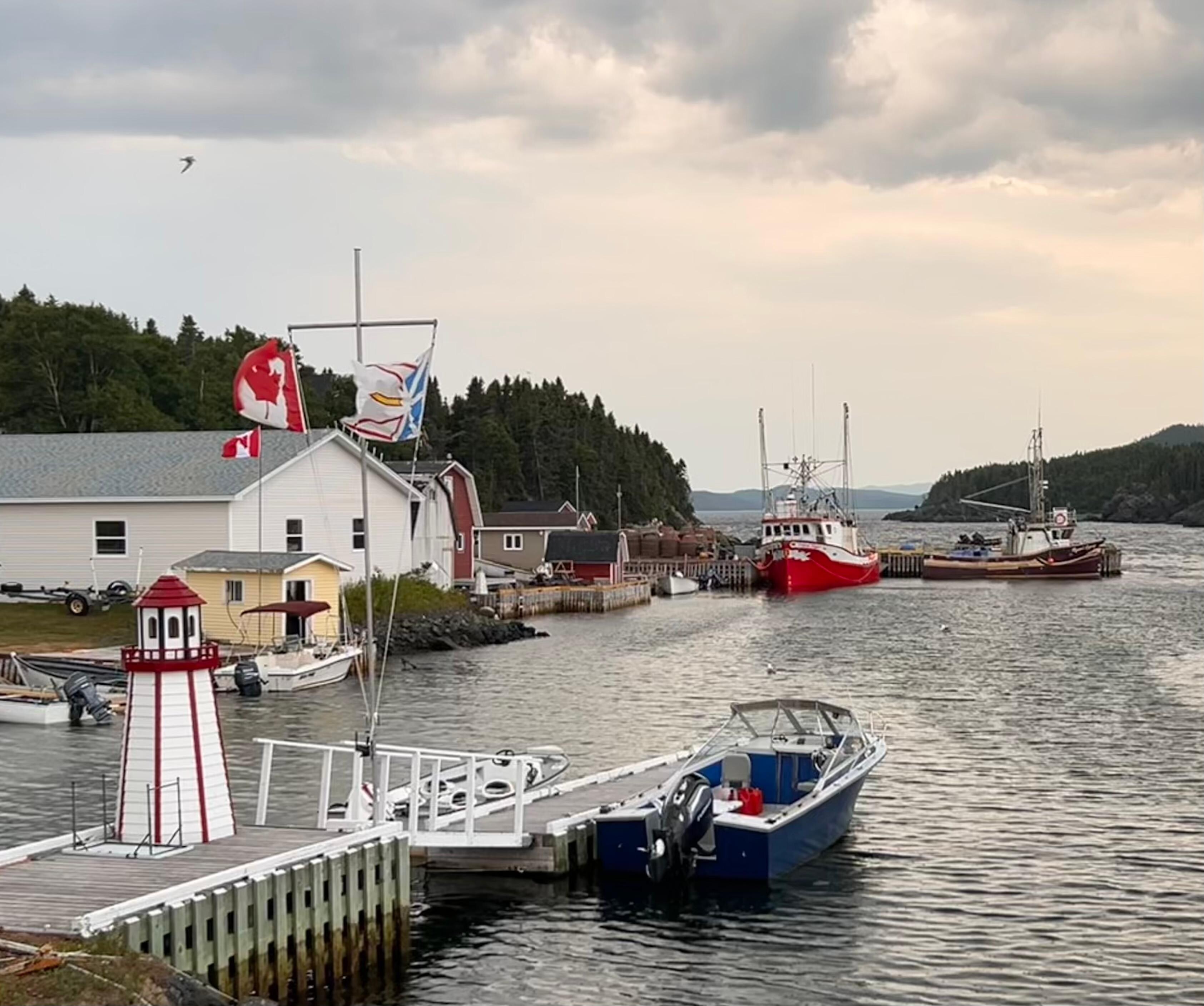 Harbour pic2