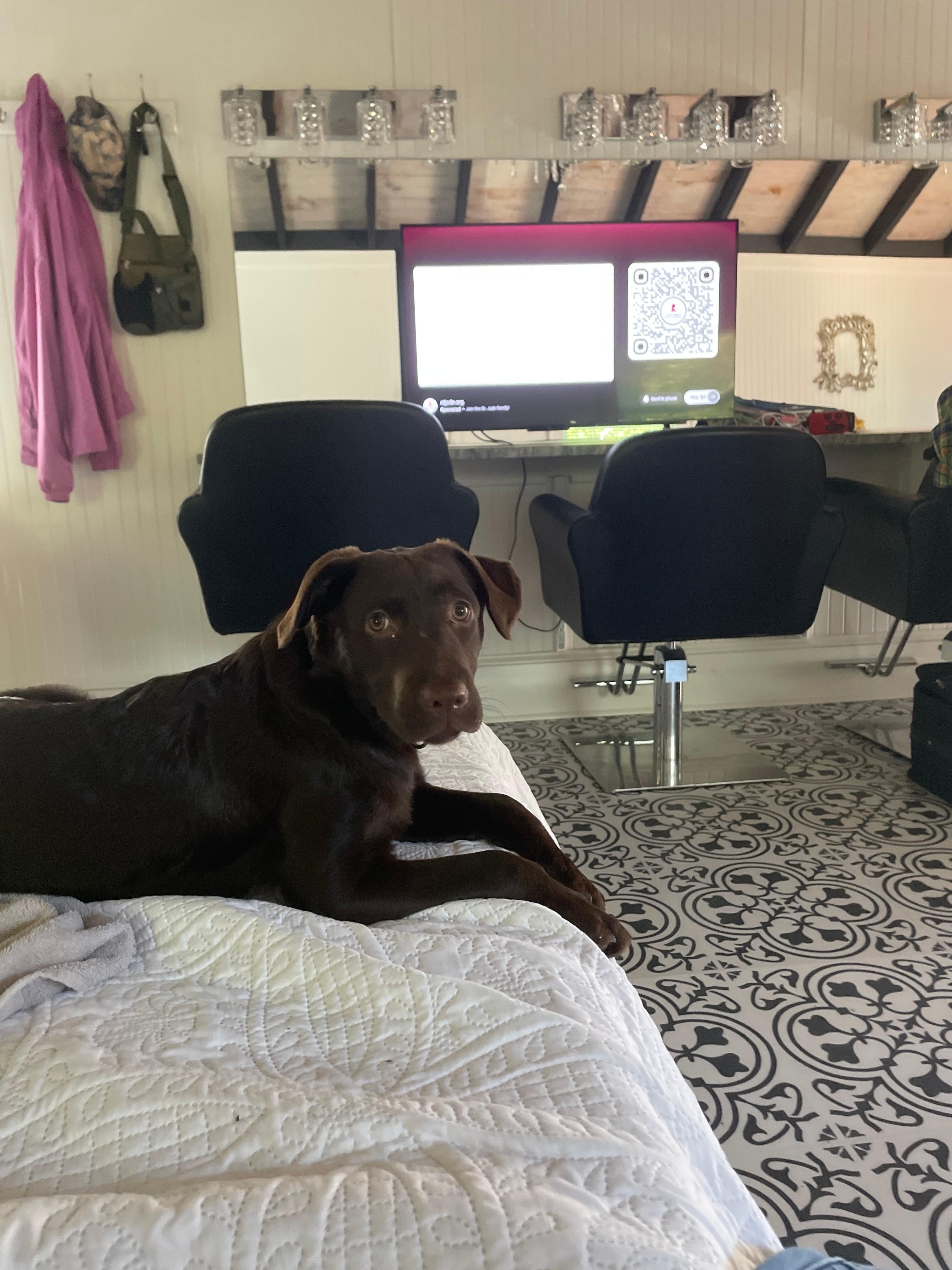 Nova enjoyed her stay 