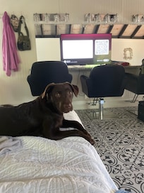 Nova enjoyed her stay