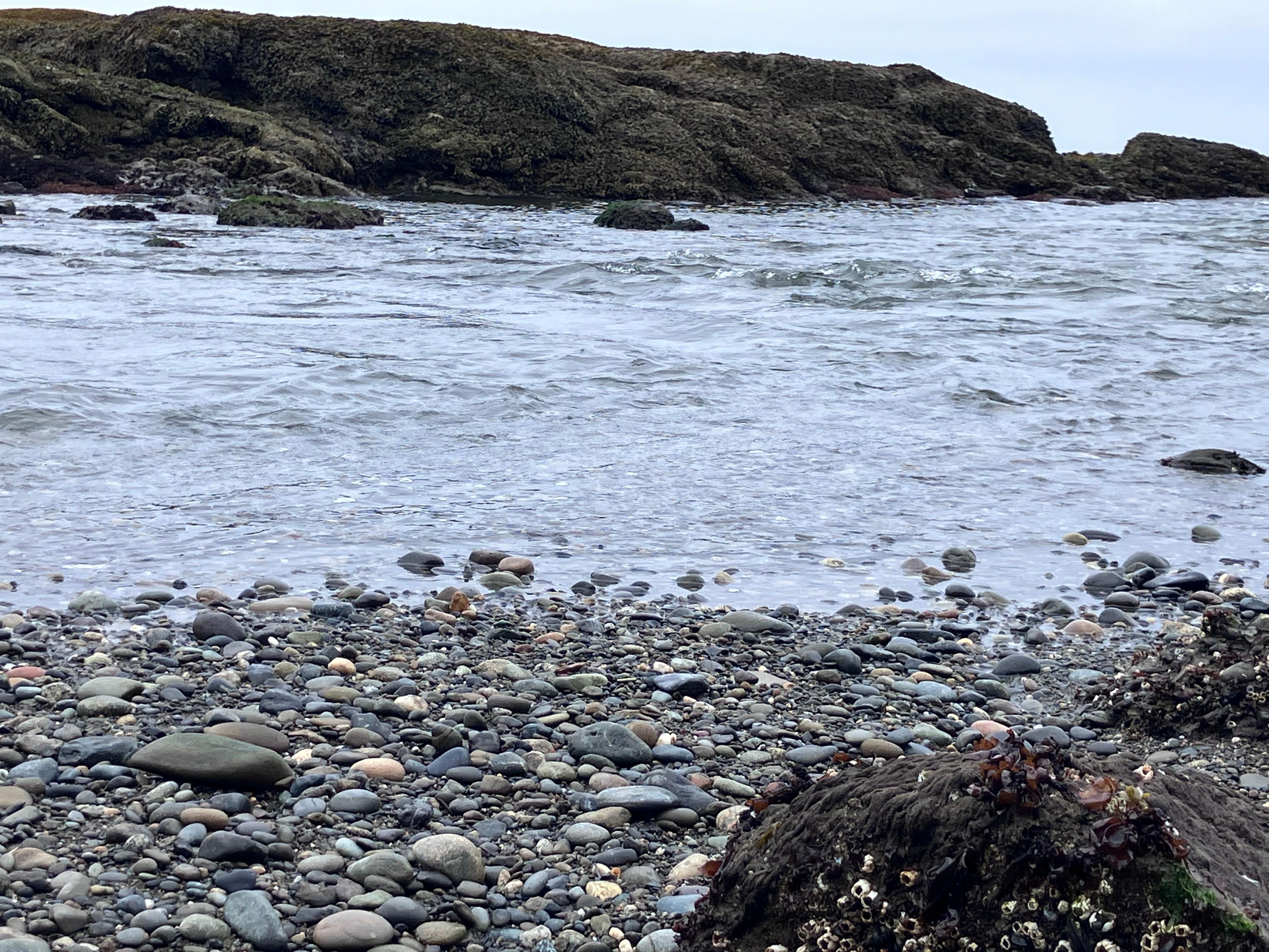 Hoko River meets strait