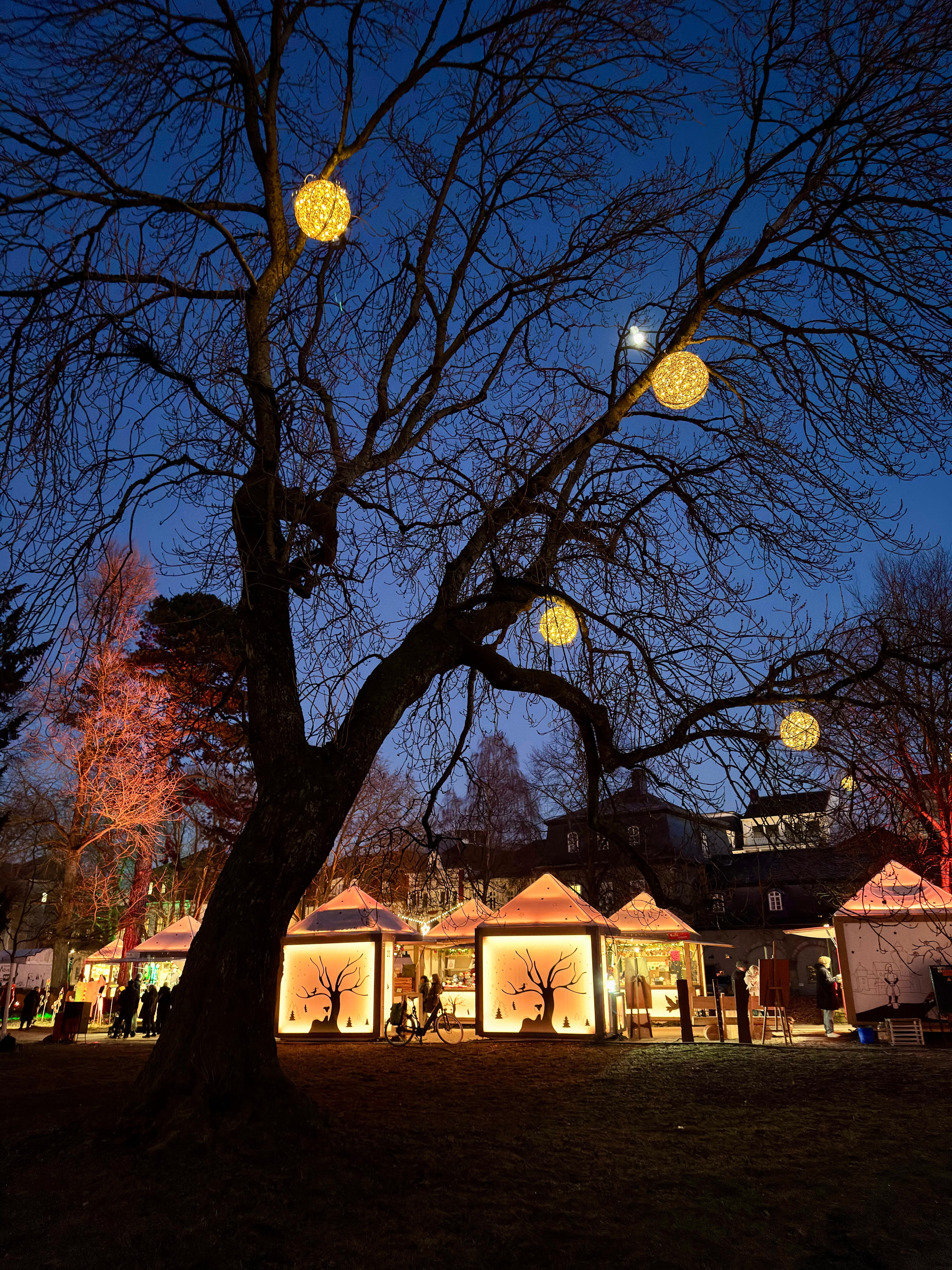 Detmolder Weihnachtsmarkt 
