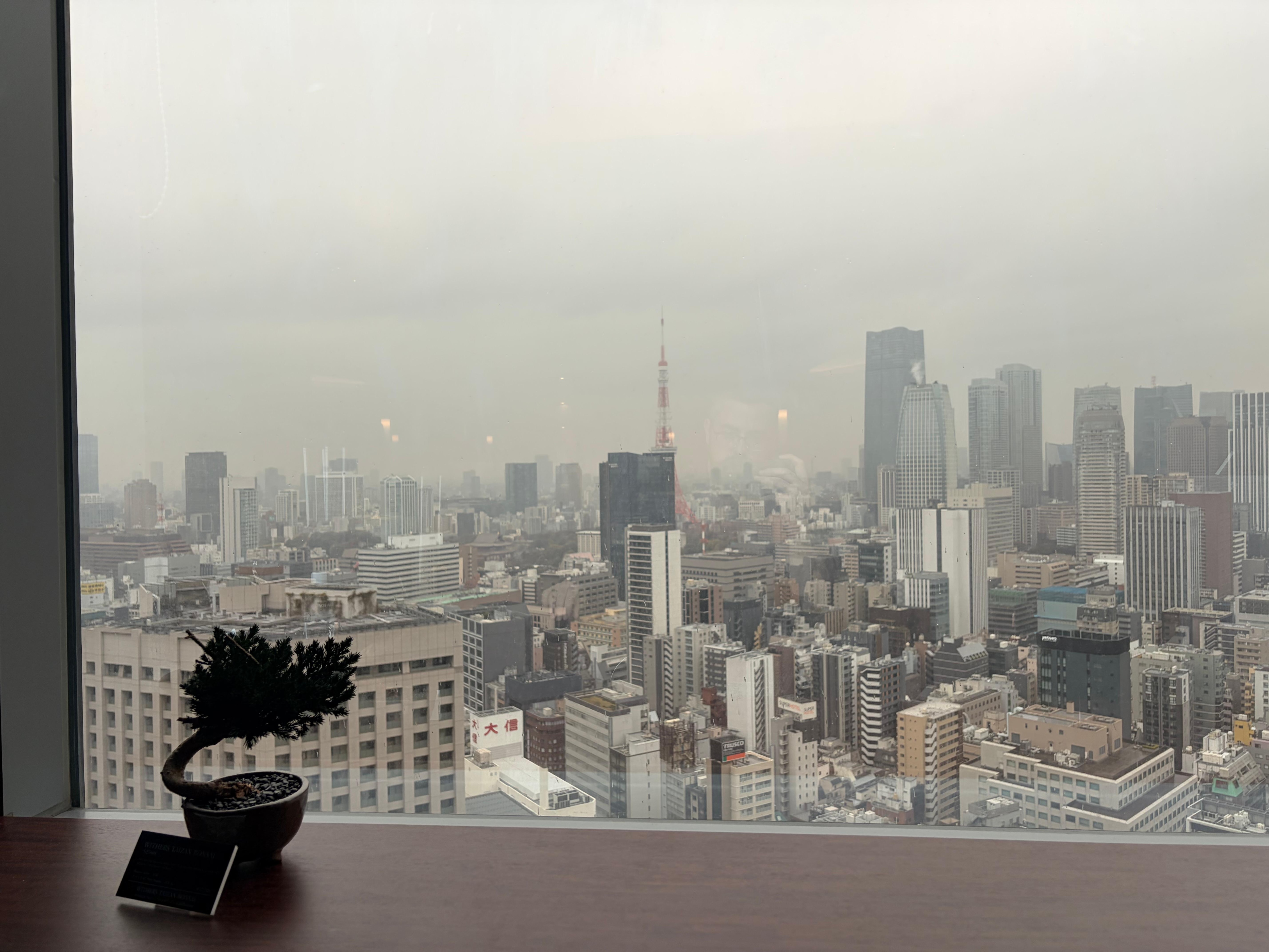 Views from reception area