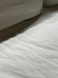 Hair all over wrinkled bed sheets. Never changed