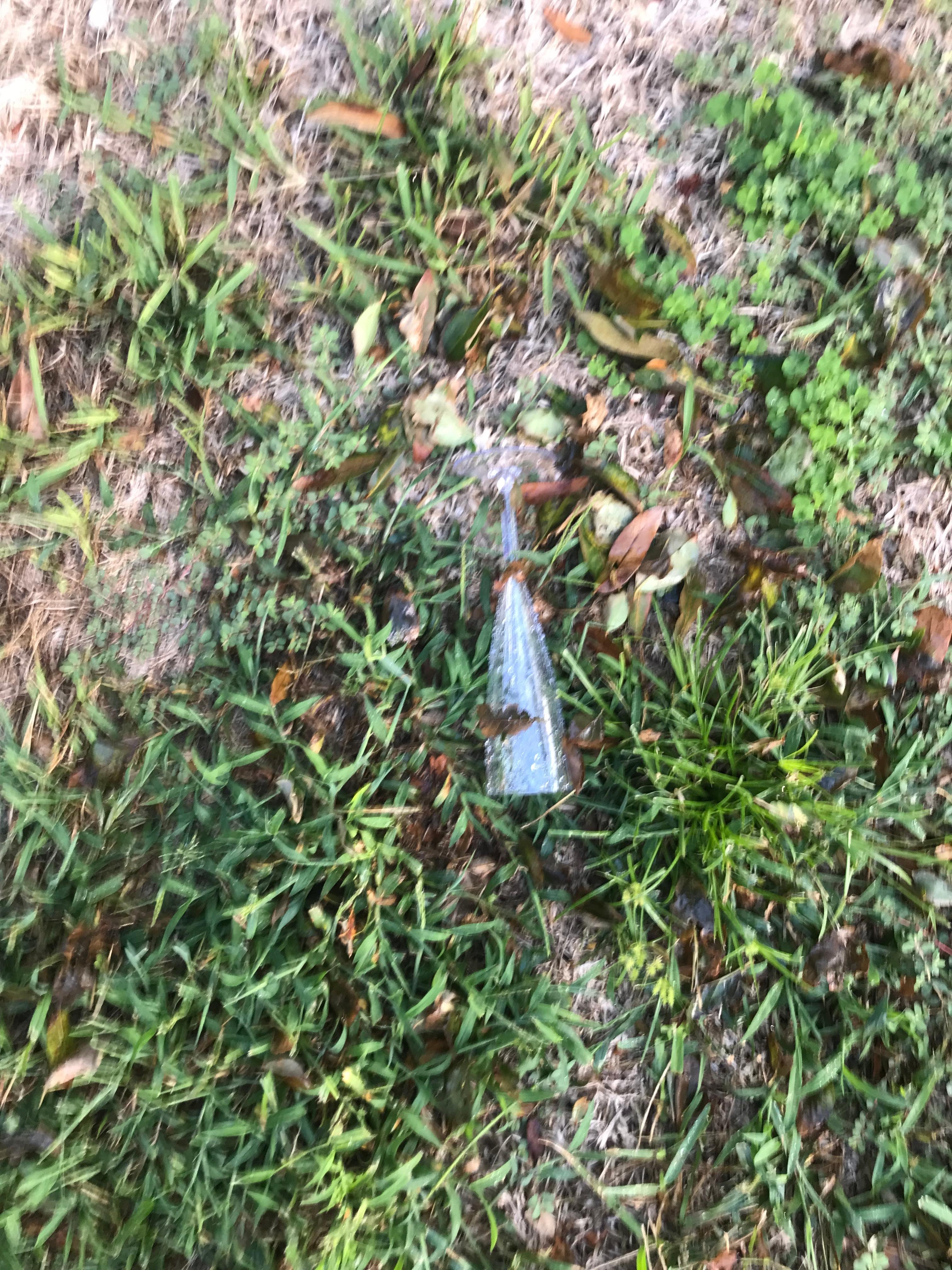 First day found this class with leaves in the pool 