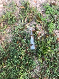 First day found this class with leaves in the pool