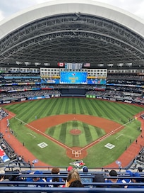 Came to watch and support the Blue Jays from Calgary