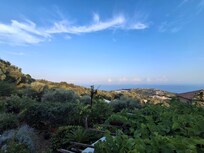 View from the terrace