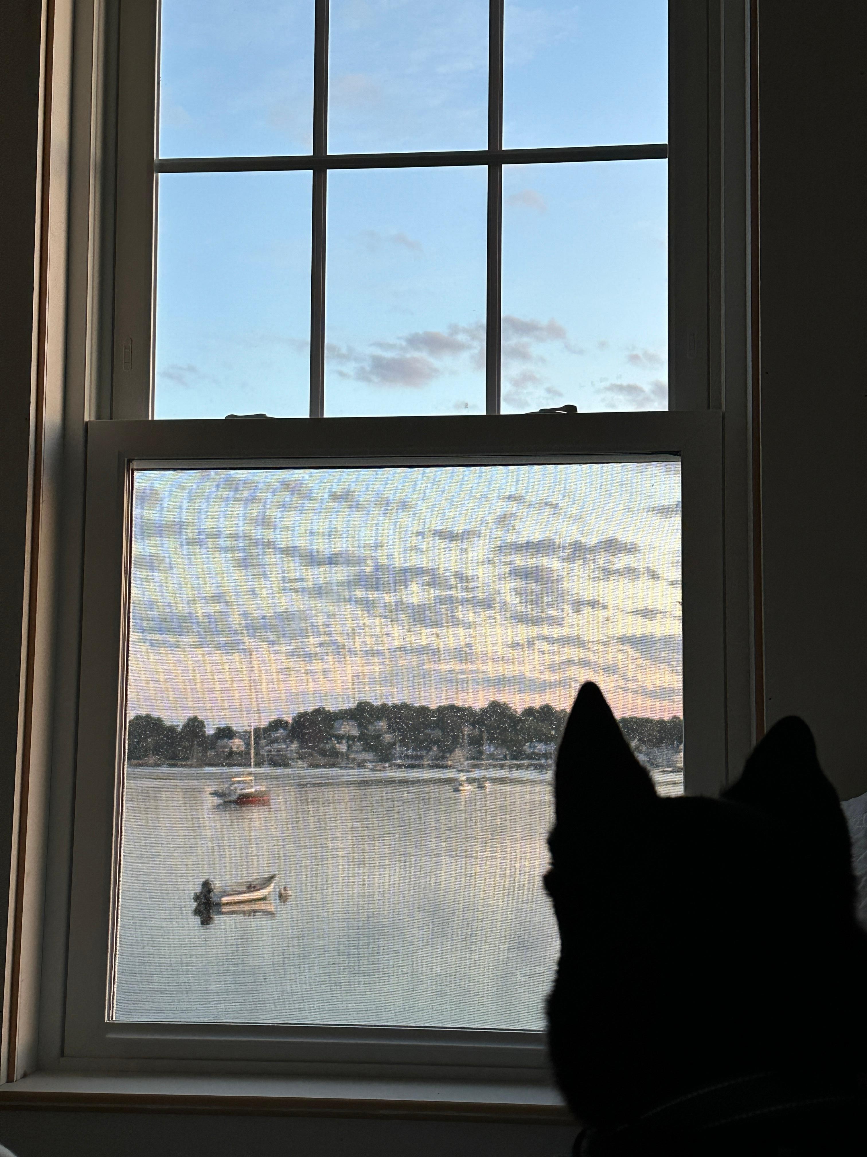 View from the foot of my bed on the first morning at the cottage. With my dog Blue equally mesmerized by the scenery.