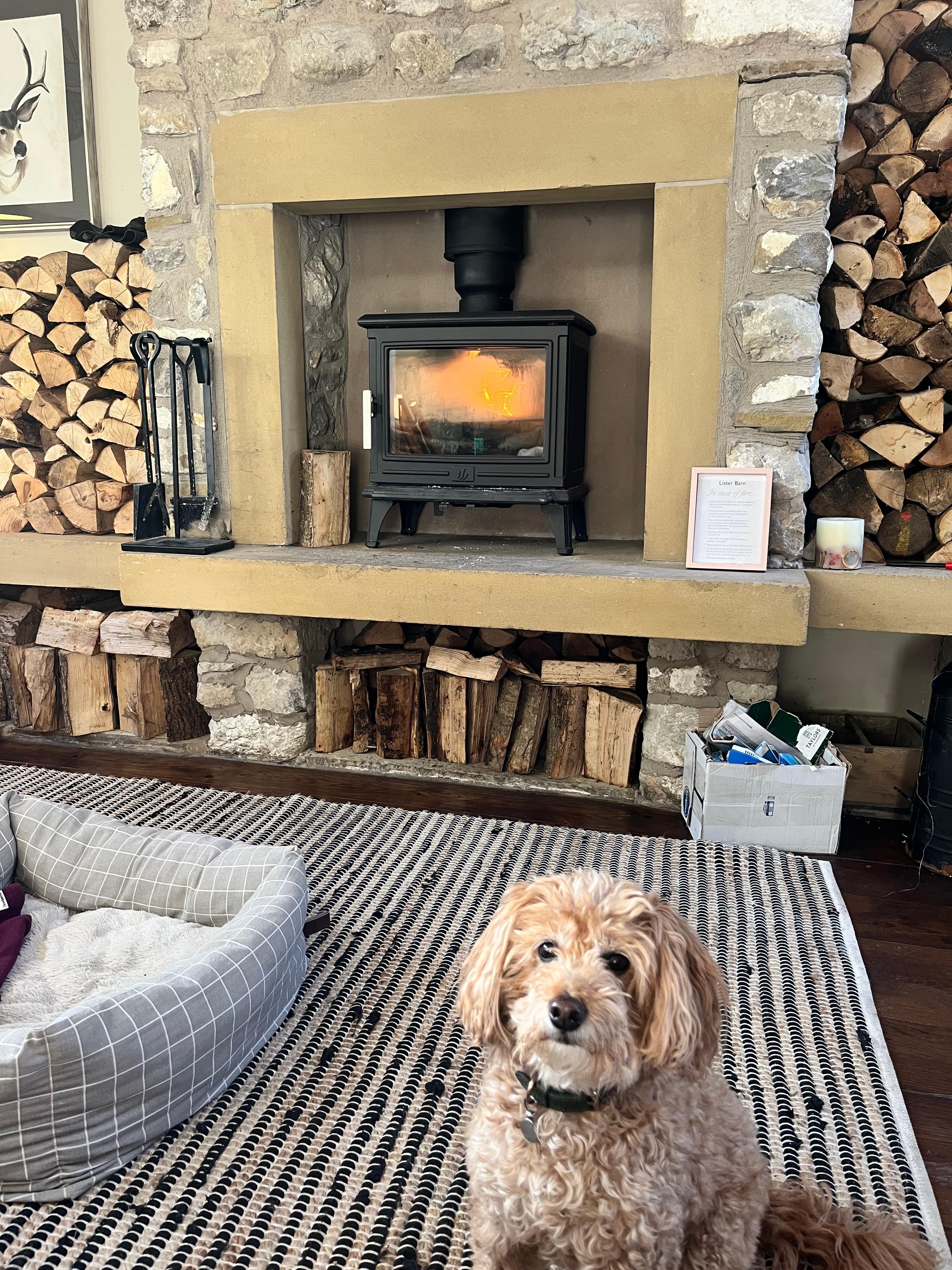Very dog friendly! Cosy space in front of the fire in the barn