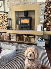 Very dog friendly! Cosy space in front of the fire in the barn