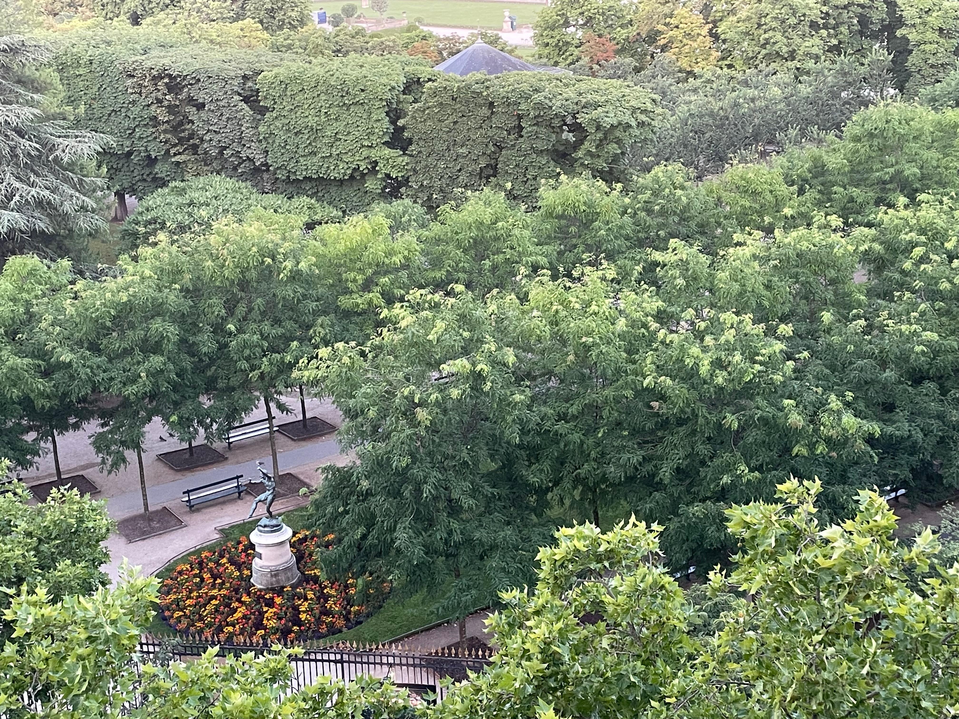 From the balcony, in the Luxembourg Garden. 