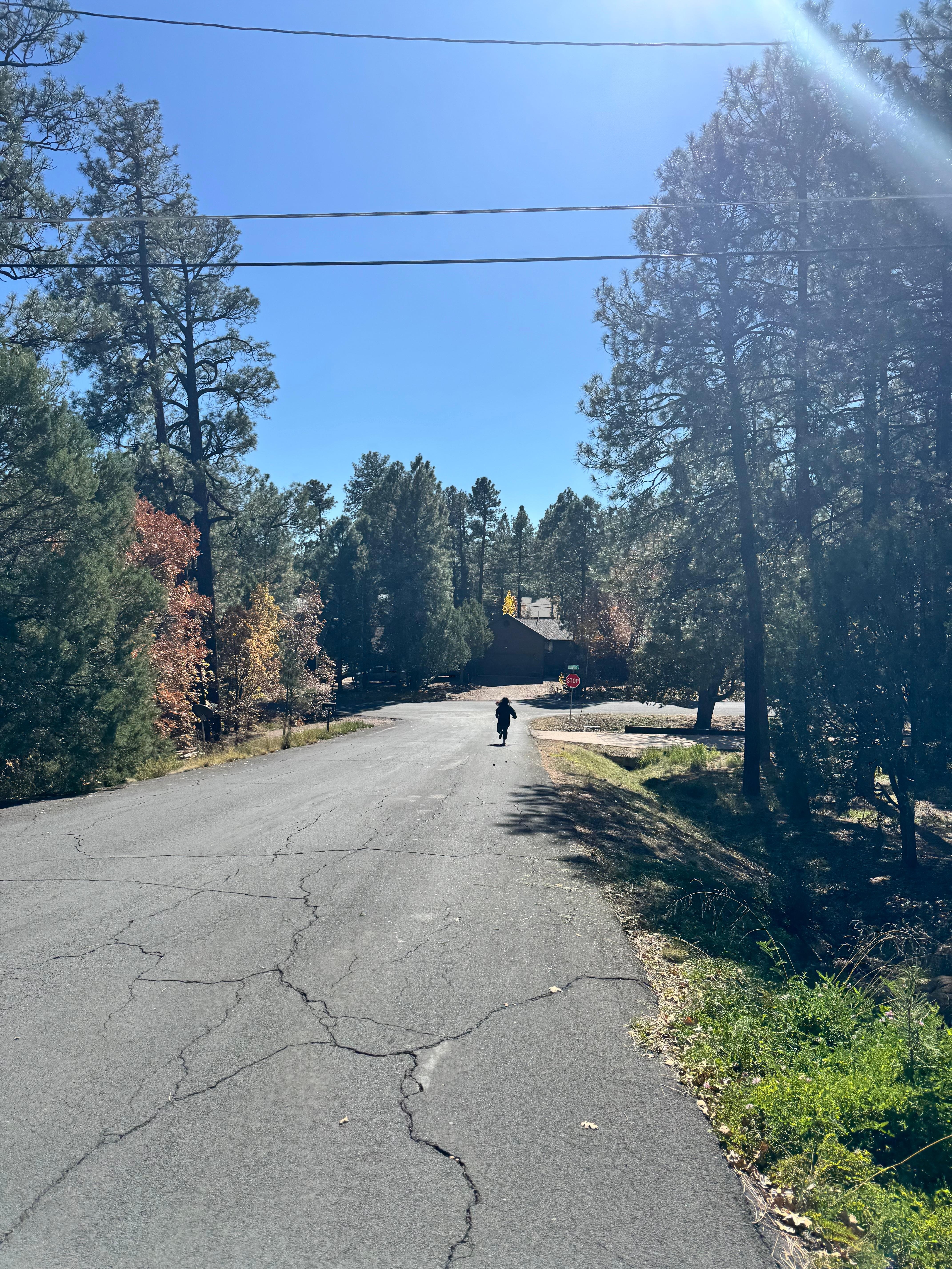 We went on a walk around the neighborhood, friendly neighbors! 