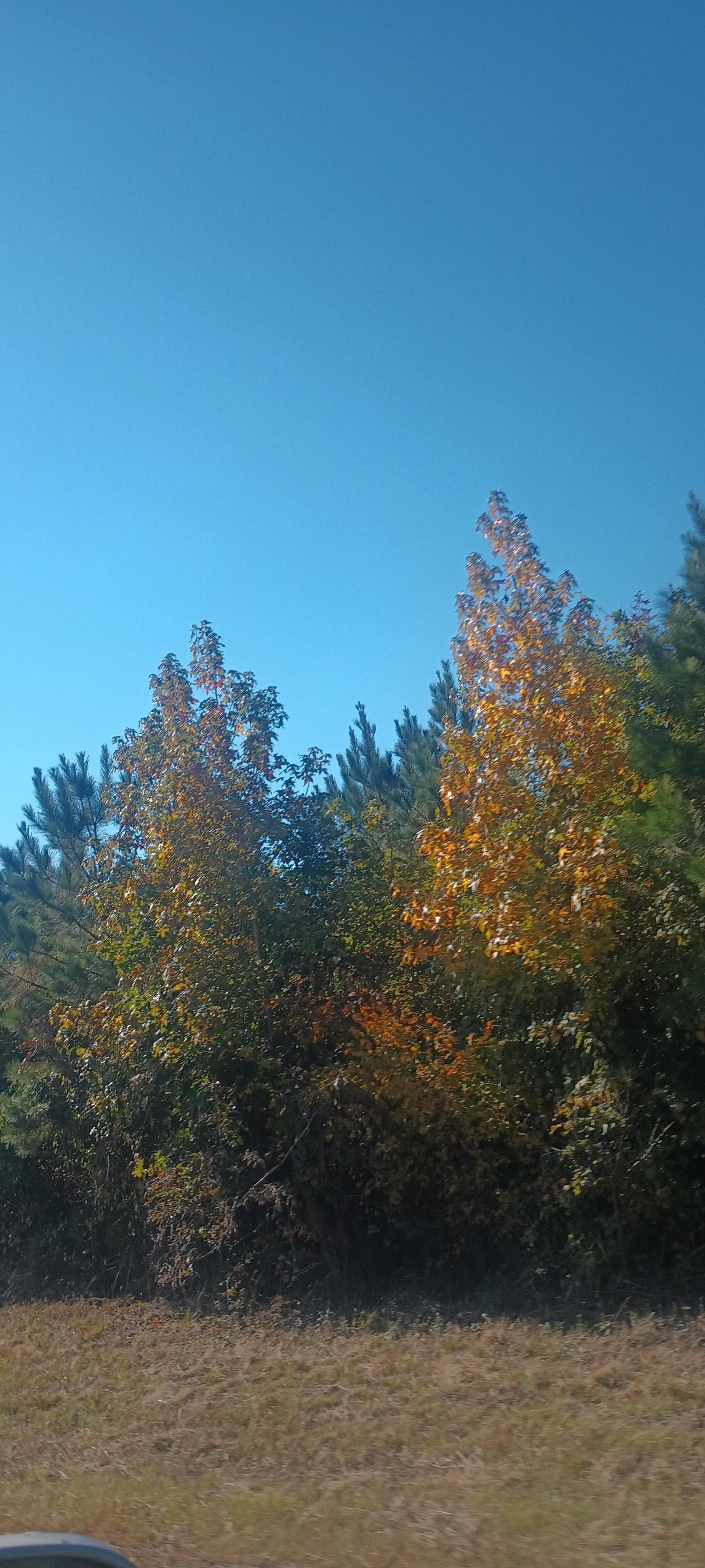 Fall at the Serenity House 