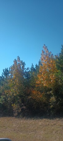 Fall at the Serenity House