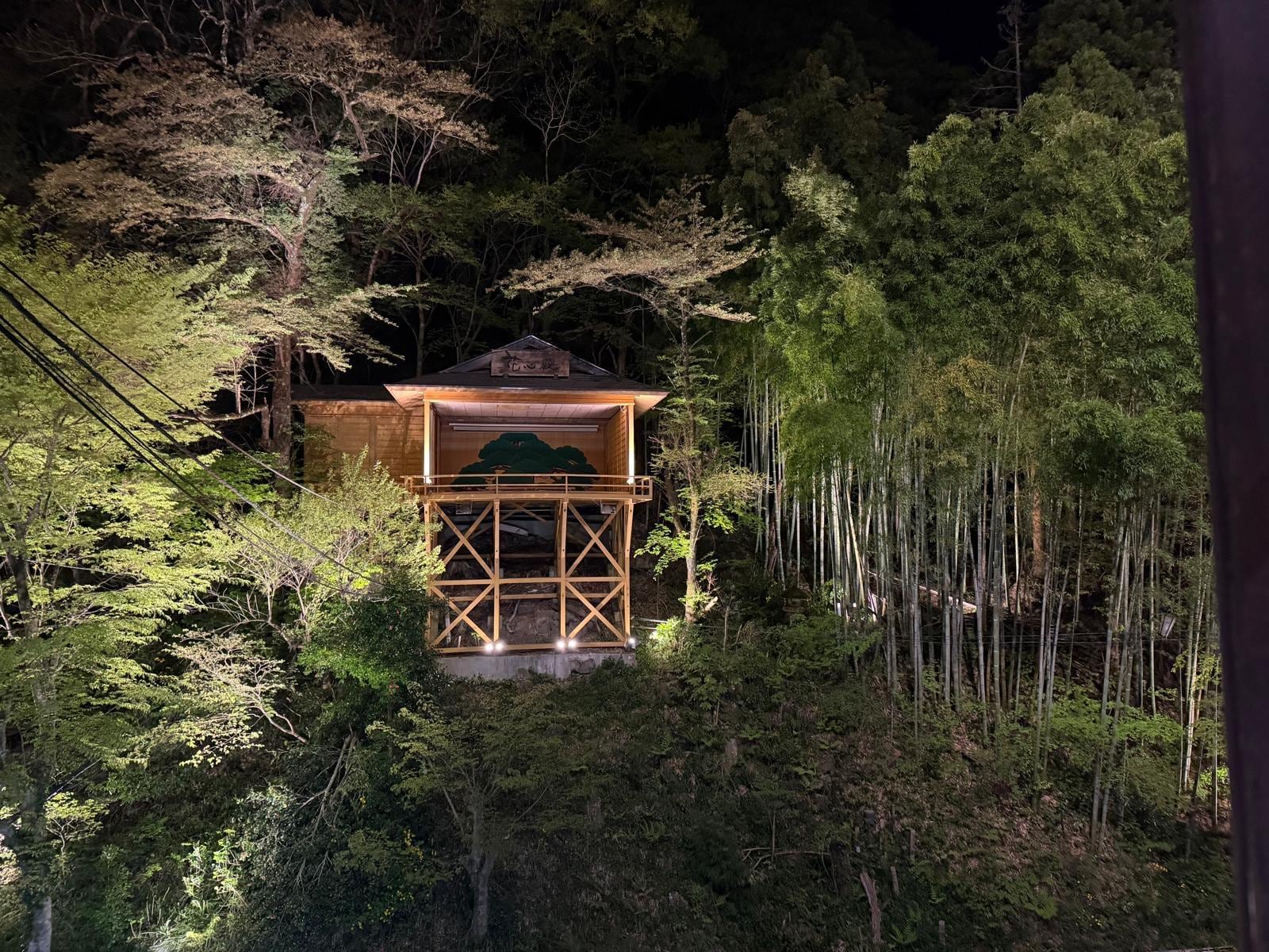 Nightly projection shows visible from lobby 