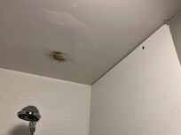 mold in bathroom