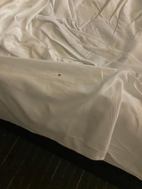 Second room: found a Bug on the bed.