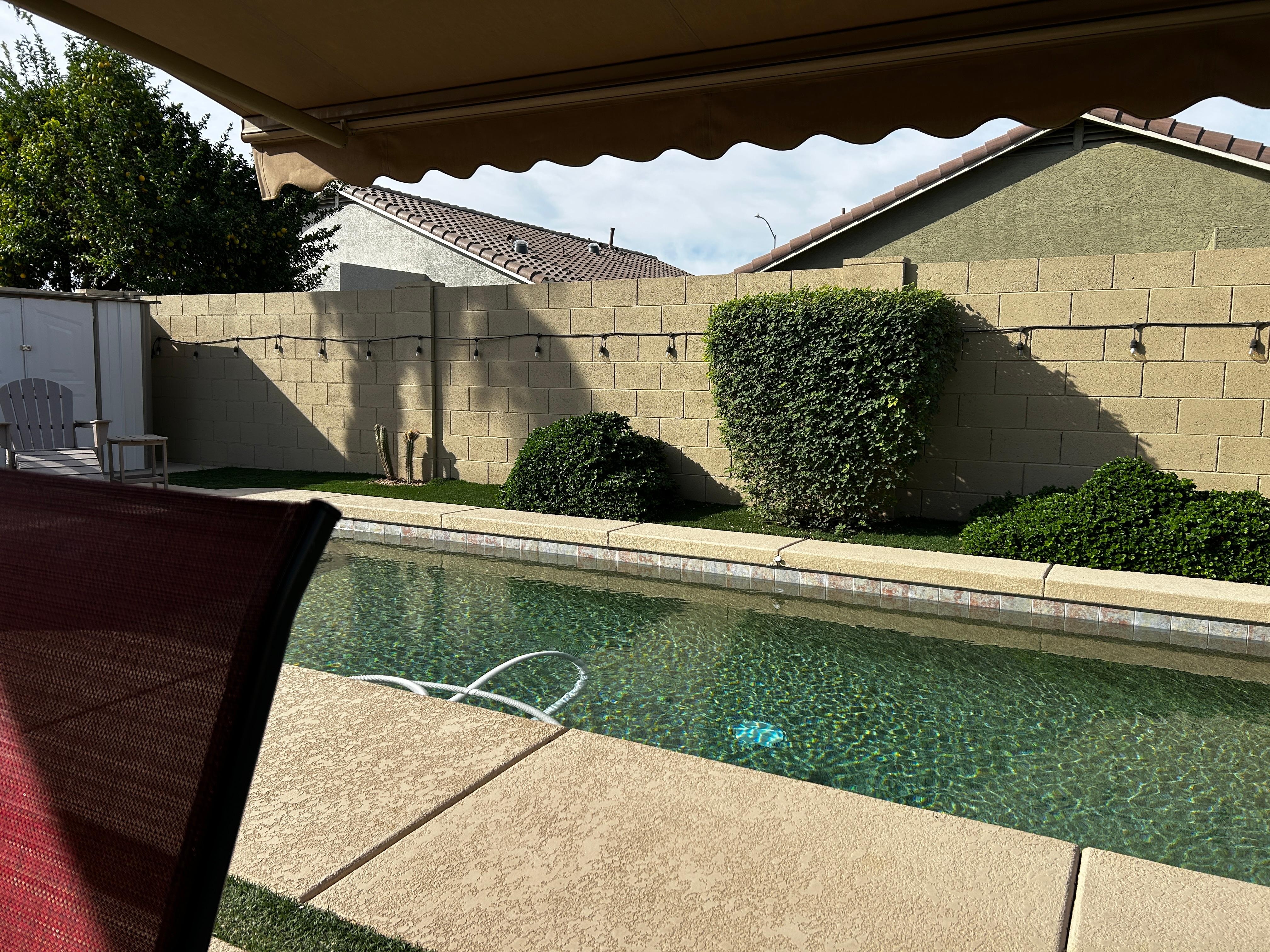 relaxing by the pool in the morning