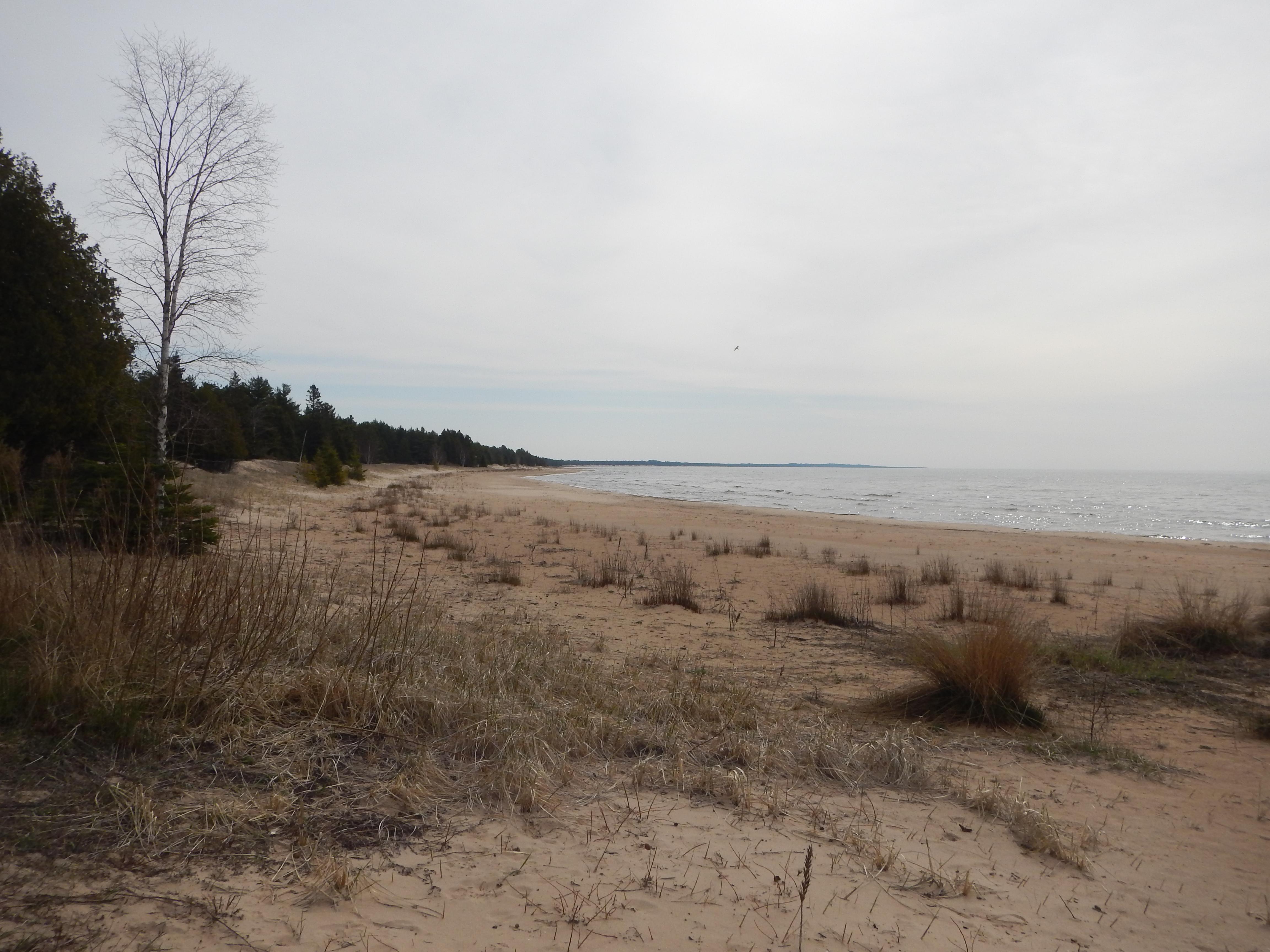 Beach at the cabin property looking east.