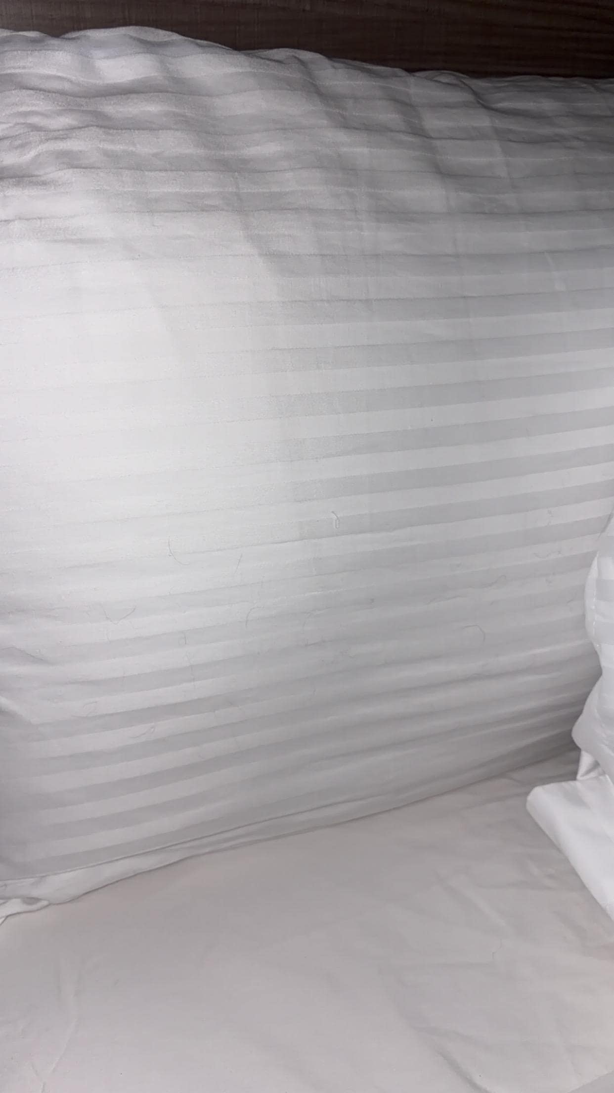 More hair on the pillows 