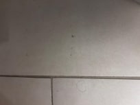 More hair on floor