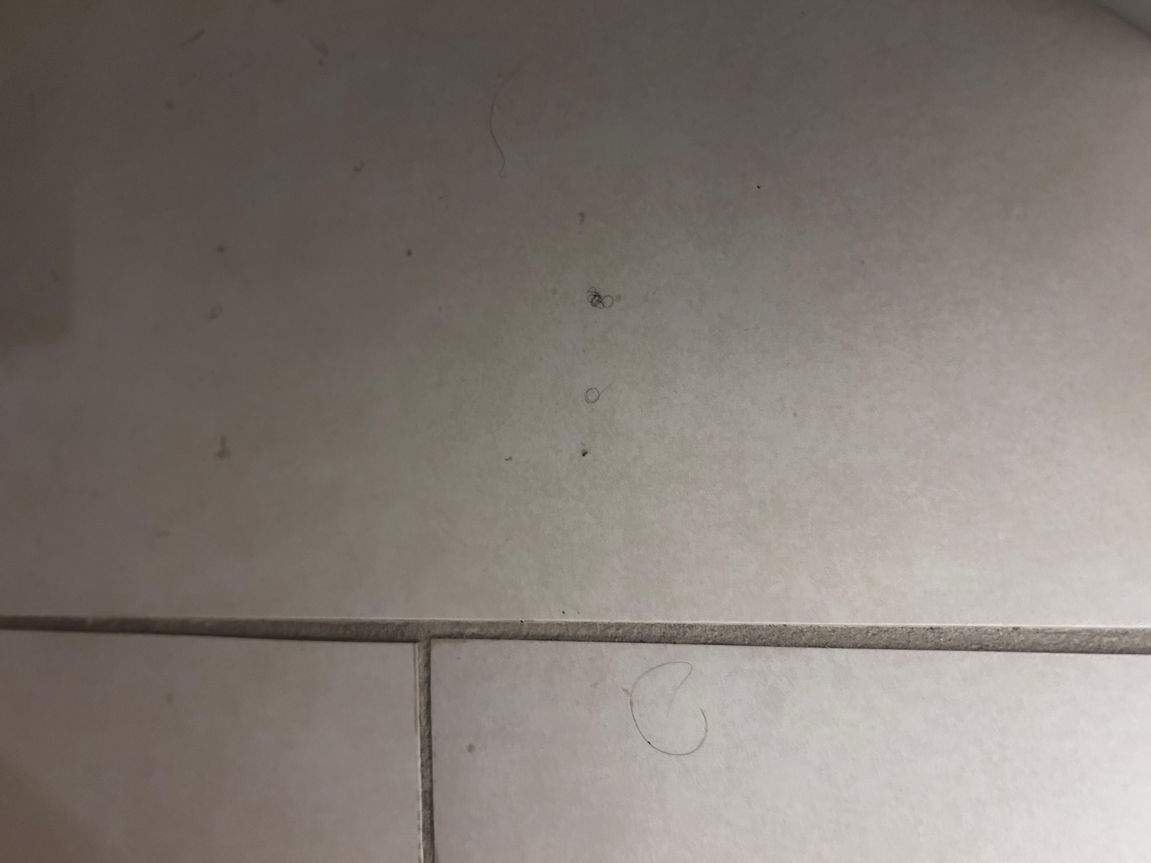More hair on floor