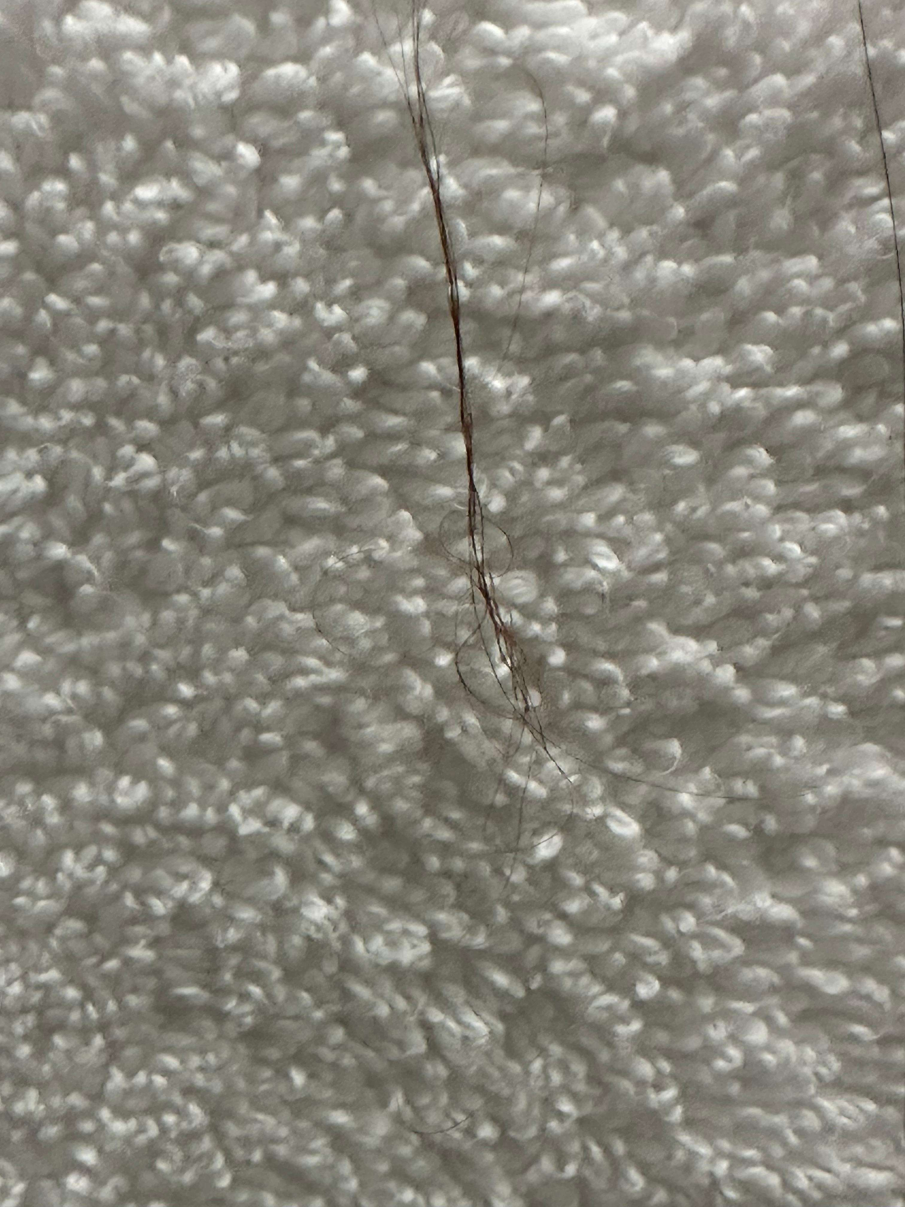 Close up of the hair on the towel