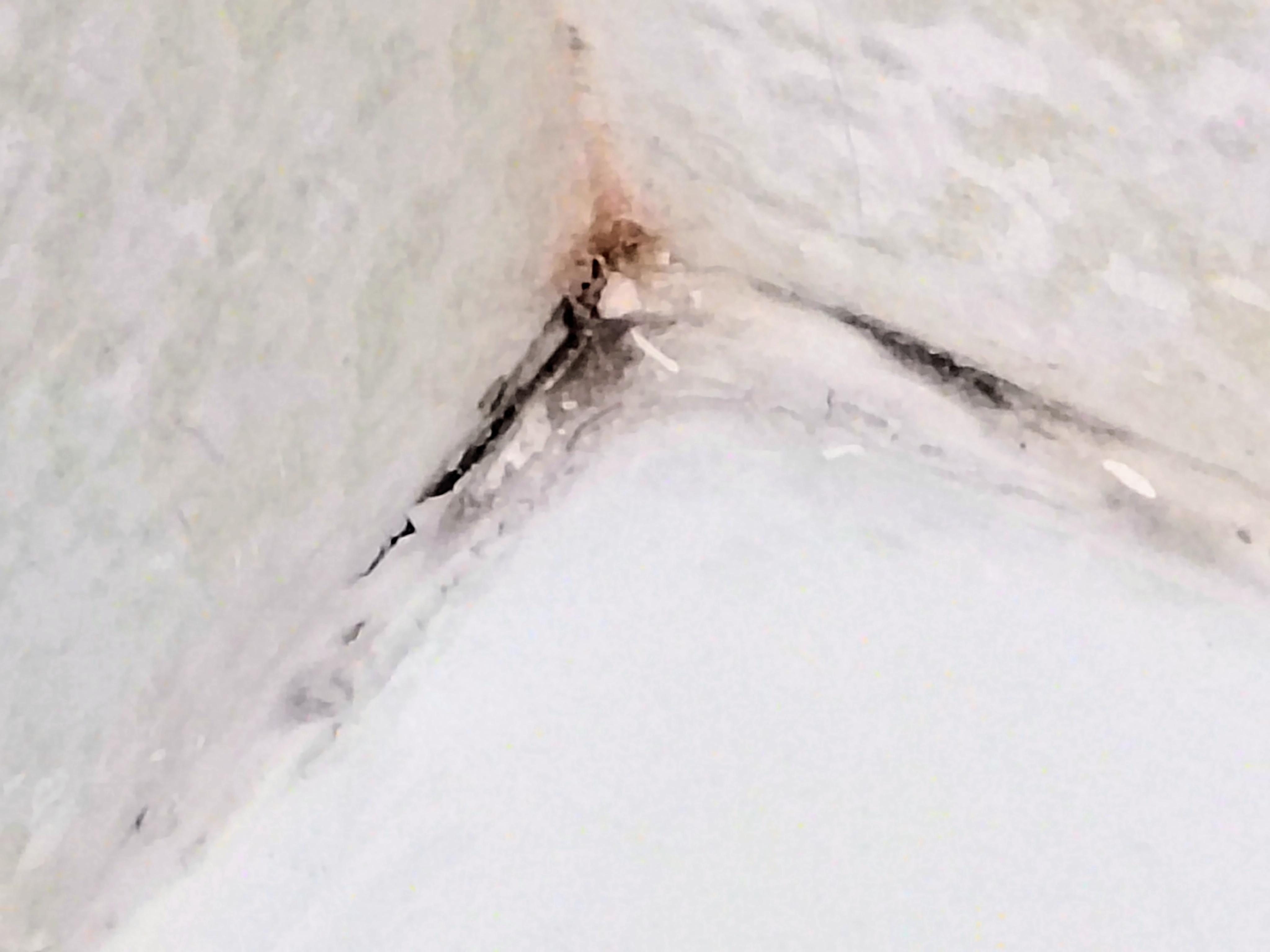 Black mold in shower.