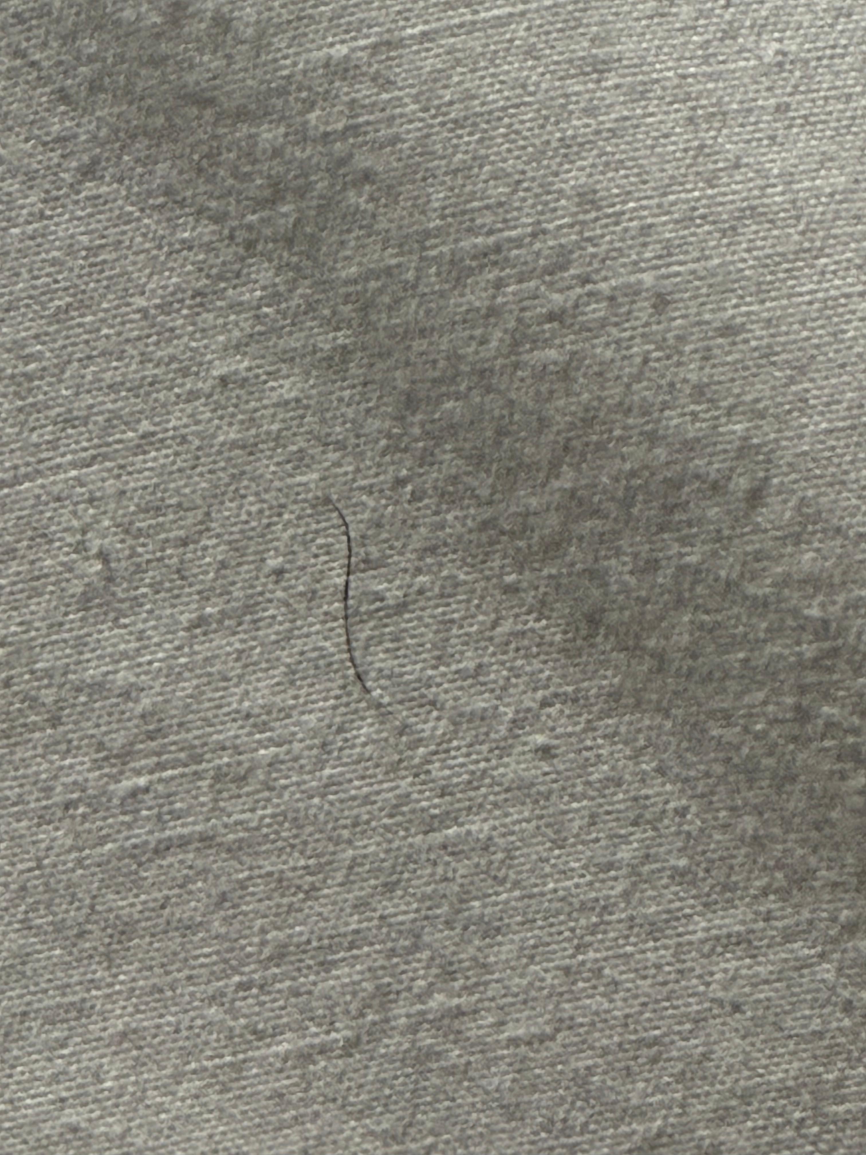 Bed sheet had small hairs all around as if wasn’t cleaned from last use