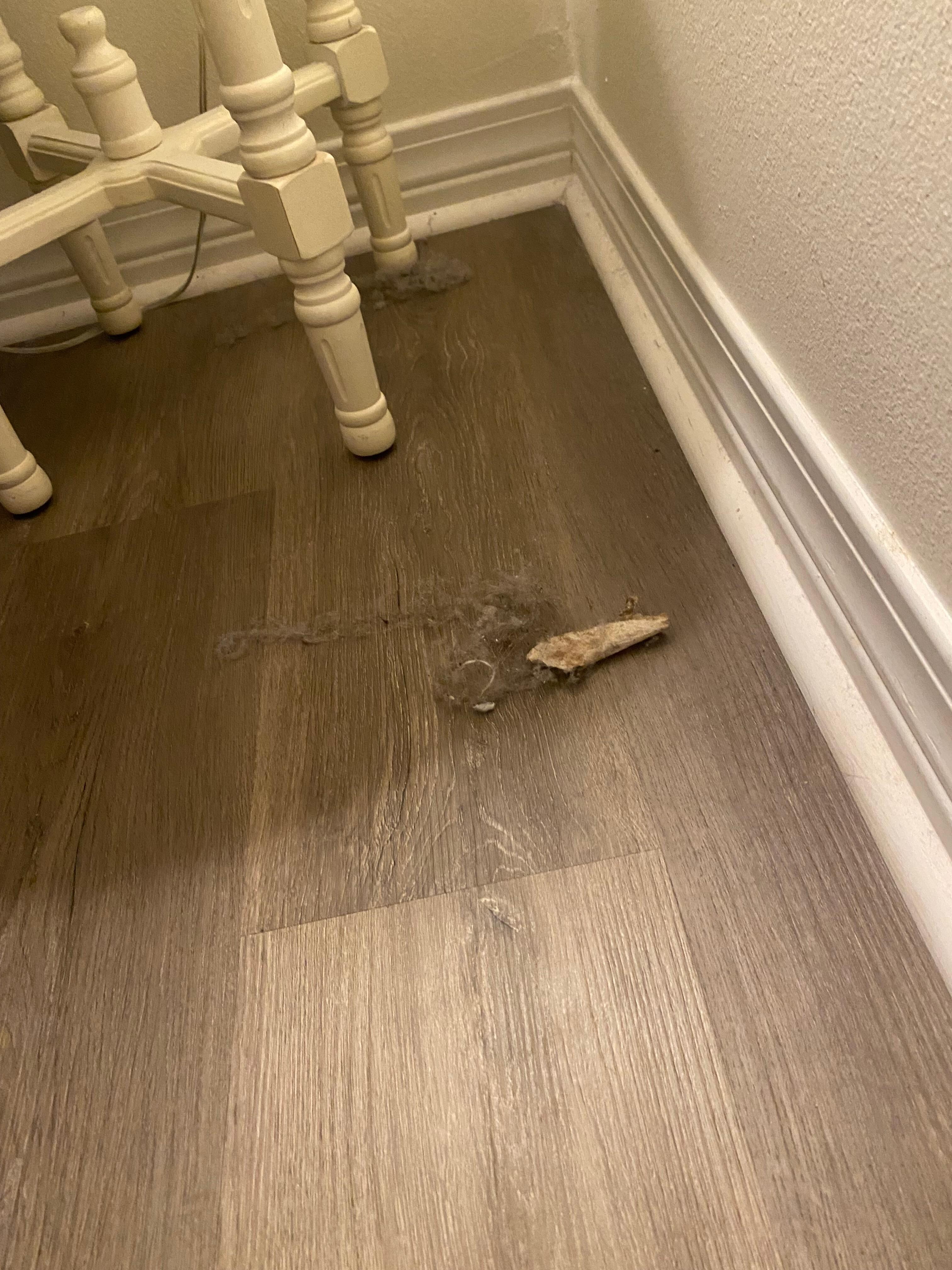 Dirty floor