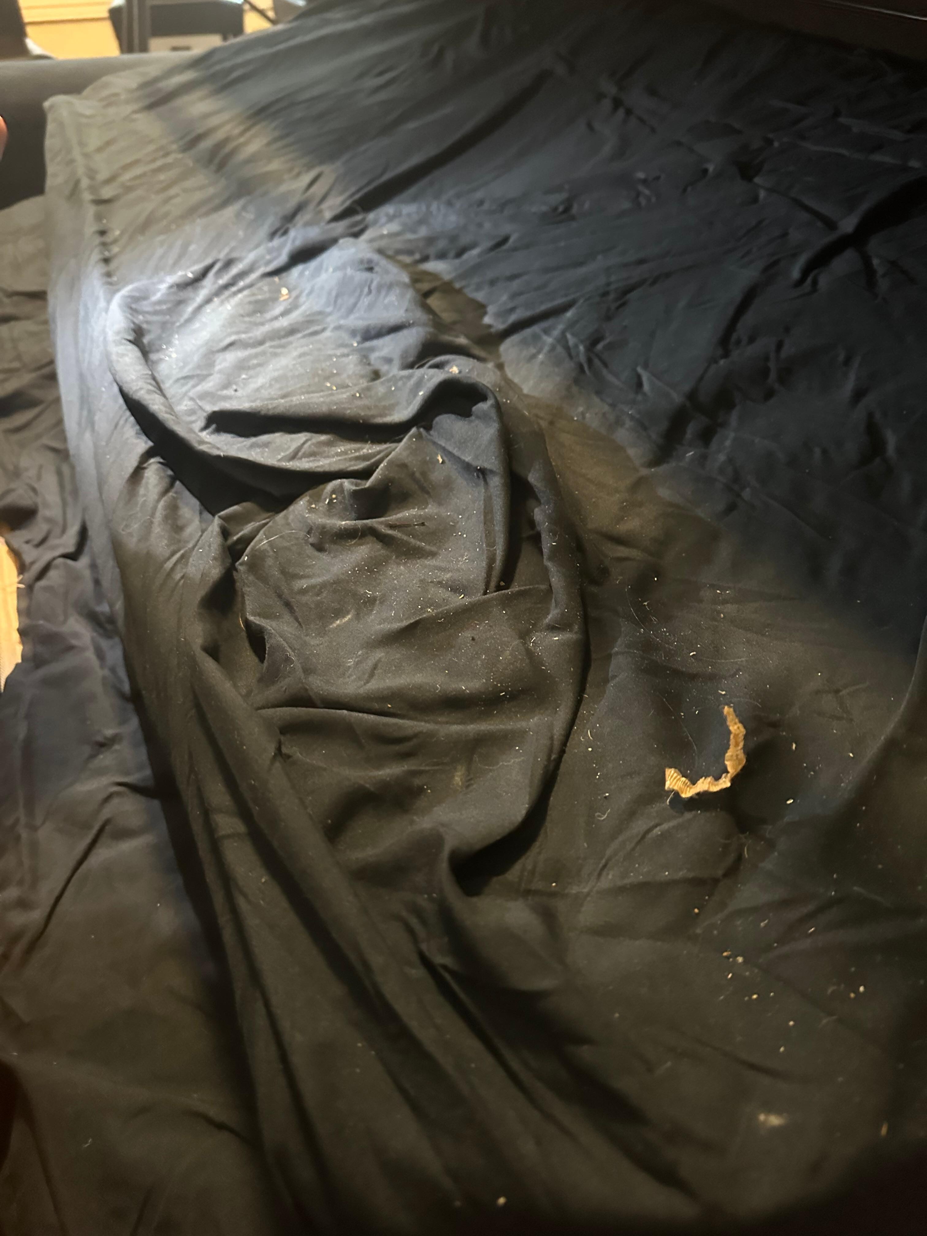 Food crumbs and dirt with old bedding in the pull out couch