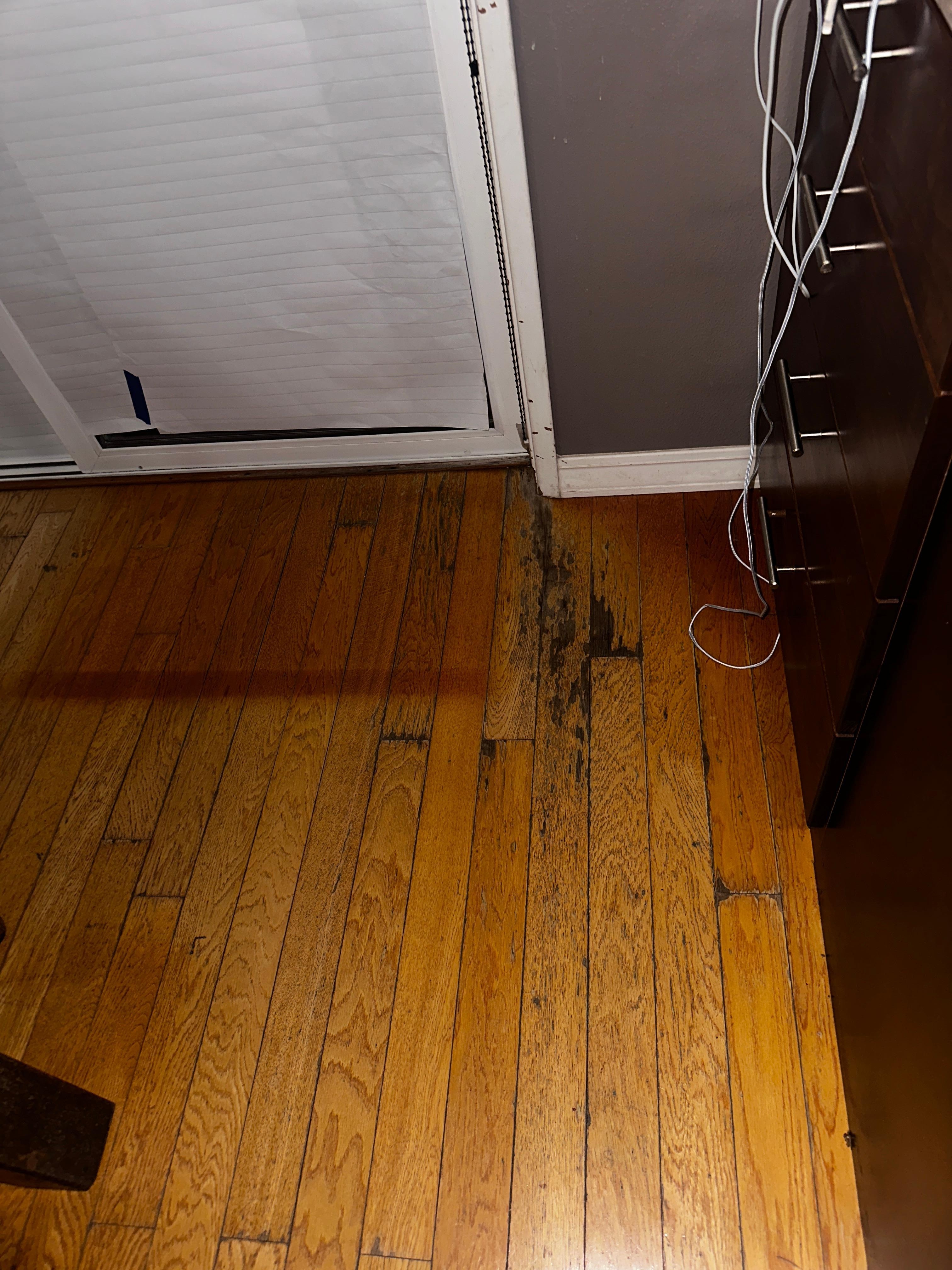 Dining room room floor 