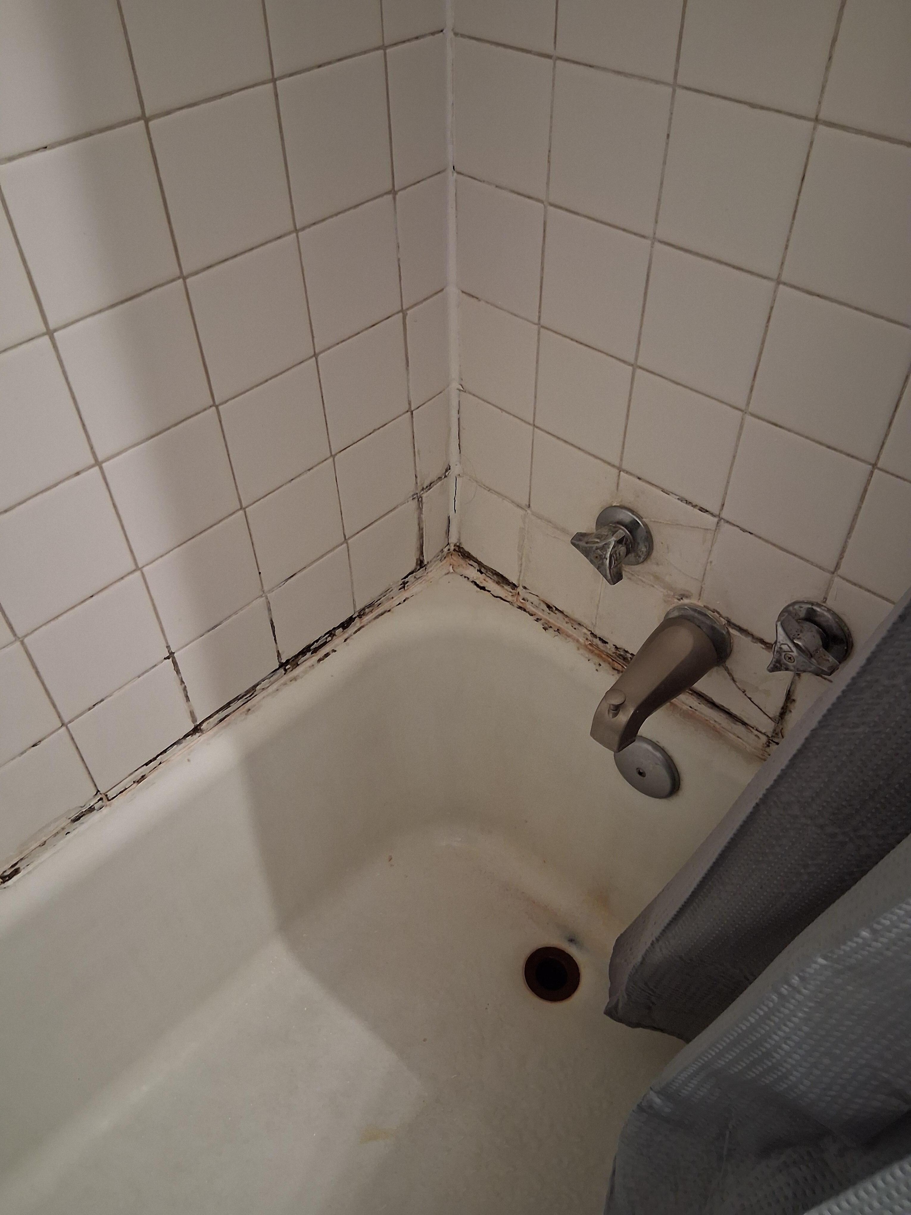 The mold in the bathroom