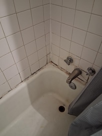 The mold in the bathroom