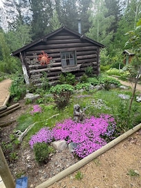 150 year old cabin we stayed in