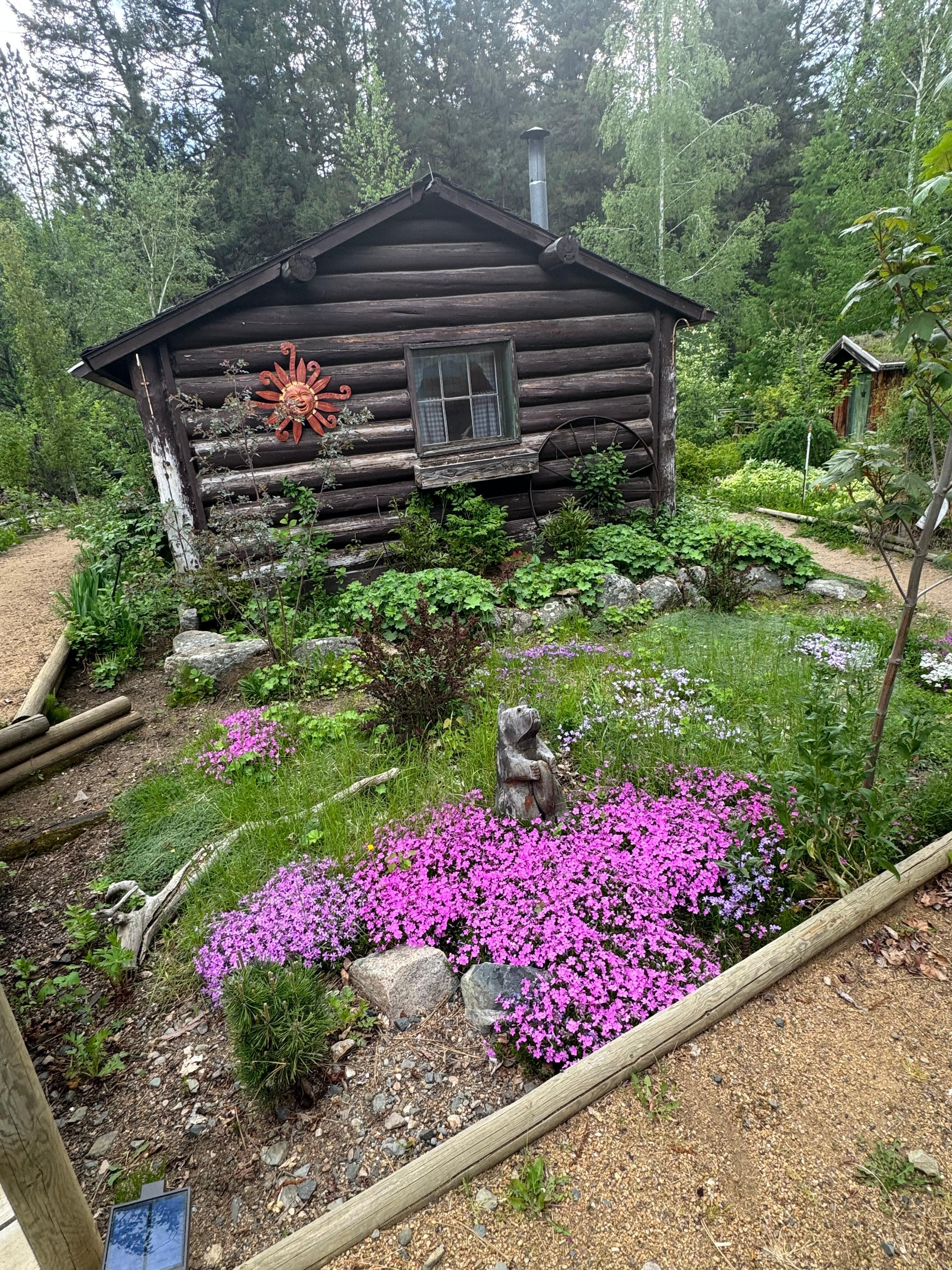 150 year old cabin we stayed in
