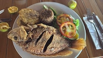 comida deliciosa