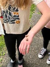Nature friendly