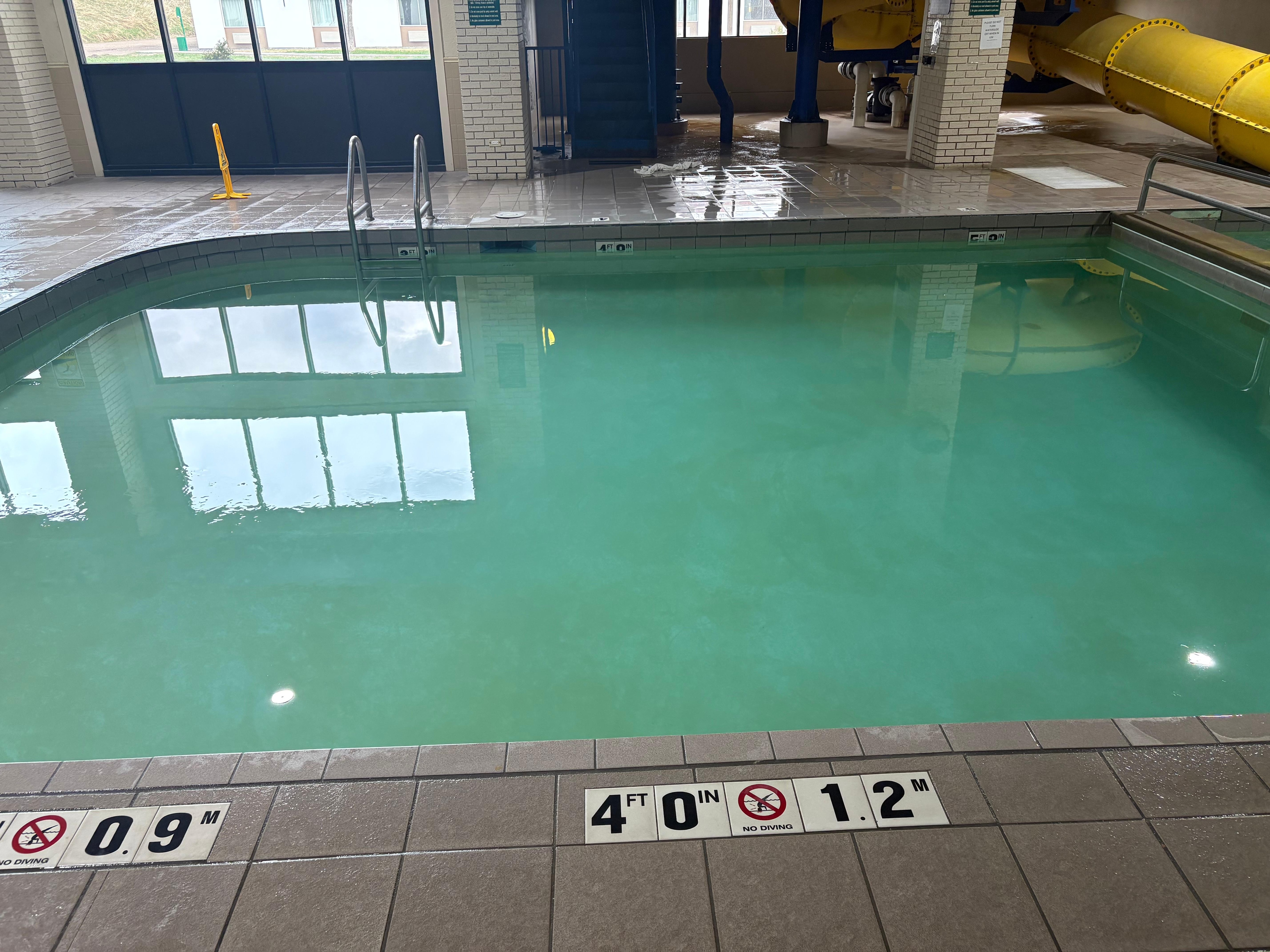 Green algae around the bottom and sides
