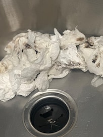 Paper towels used to clean garbage disposal mold and mildew.