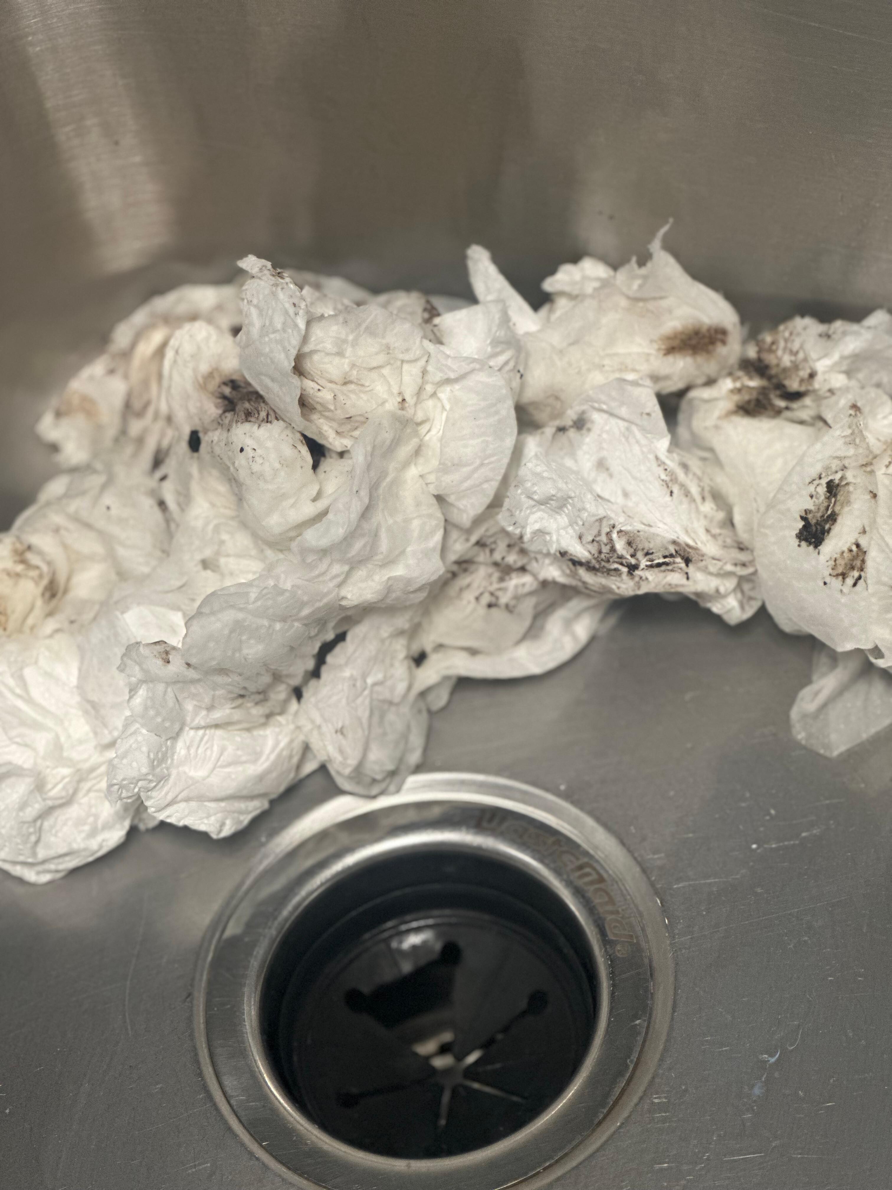 Paper towels used to clean garbage disposal mold and mildew.  