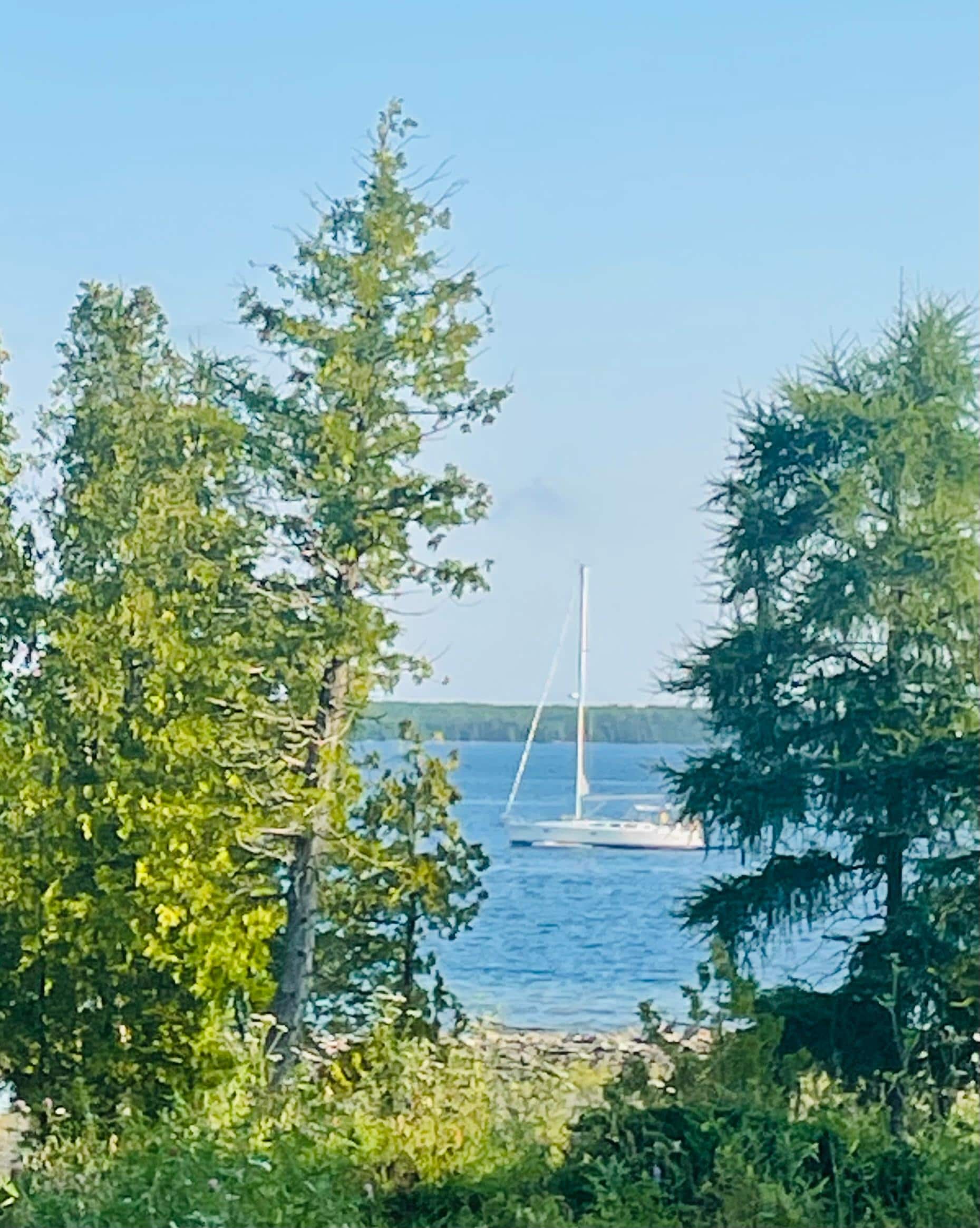 A view from our room’s patio