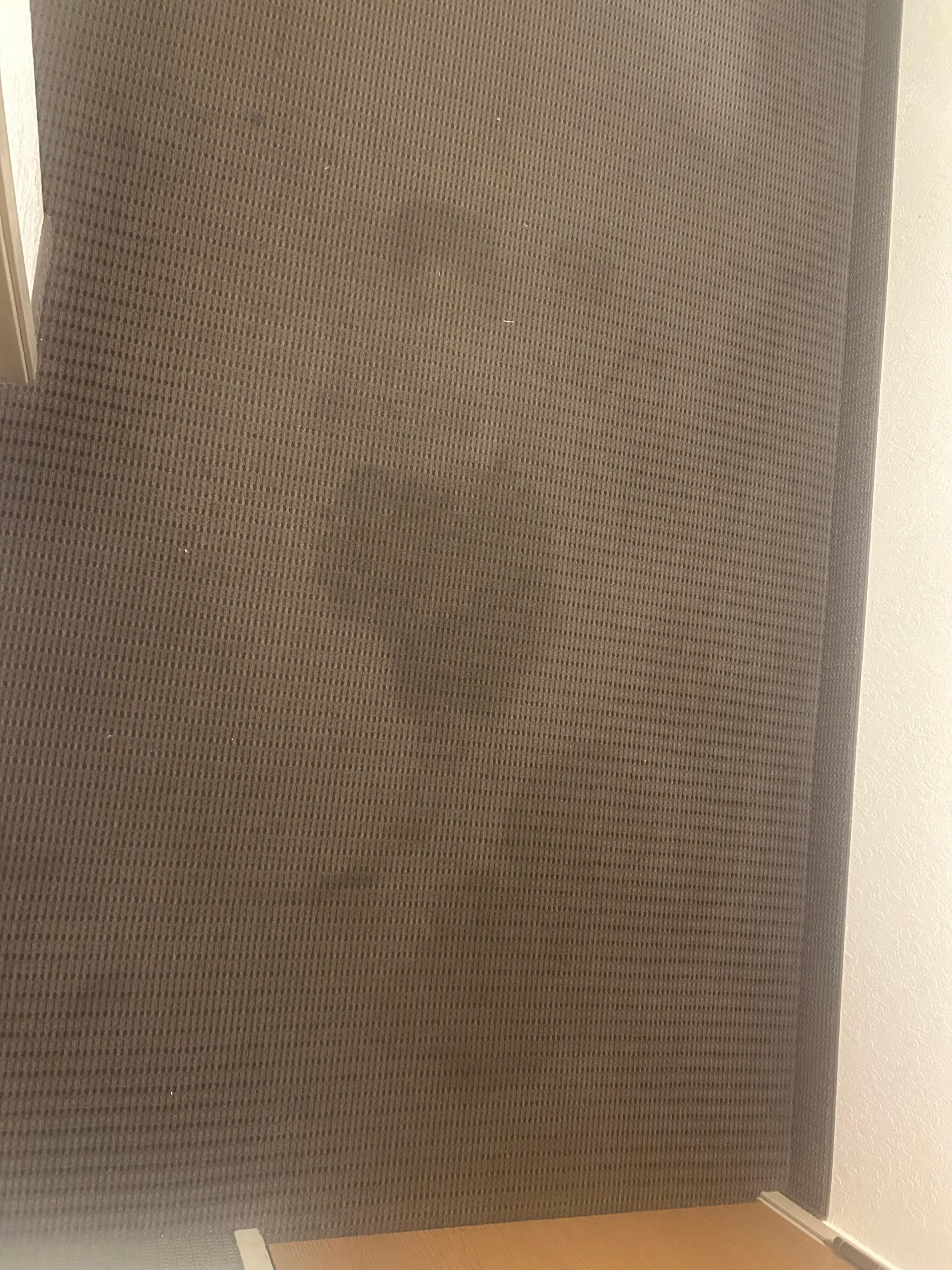 Rug when you walk in 