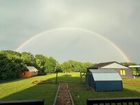 View from the back porch