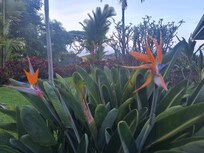 Yes, these were on the frounds