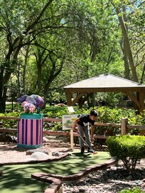 Miniature golf are